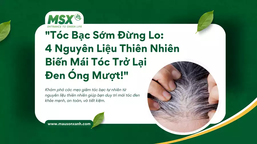 Tóc Bạc Sớm Đừng Lo: 4 Nguyên Liệu Thiên Nhiên Biến Mái Tóc Trở Lại Đen Óng Mượt