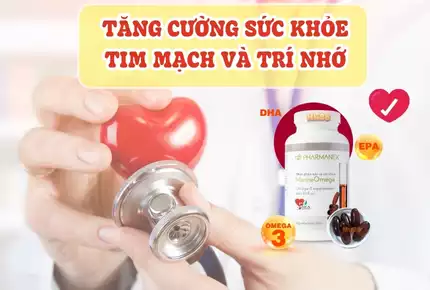 Làm thế nào để bảo vệ tim mạch, cải thiện trí nhớ