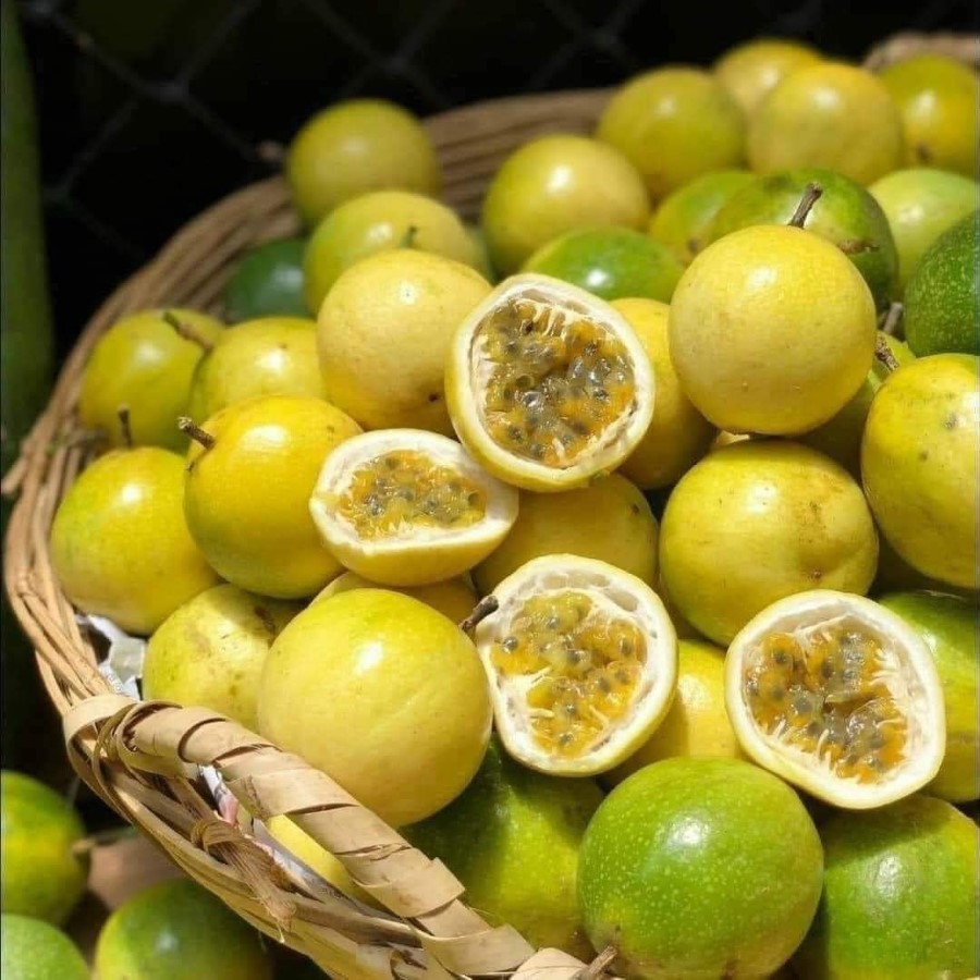 Chanh Dây Vàng Hương Ổi