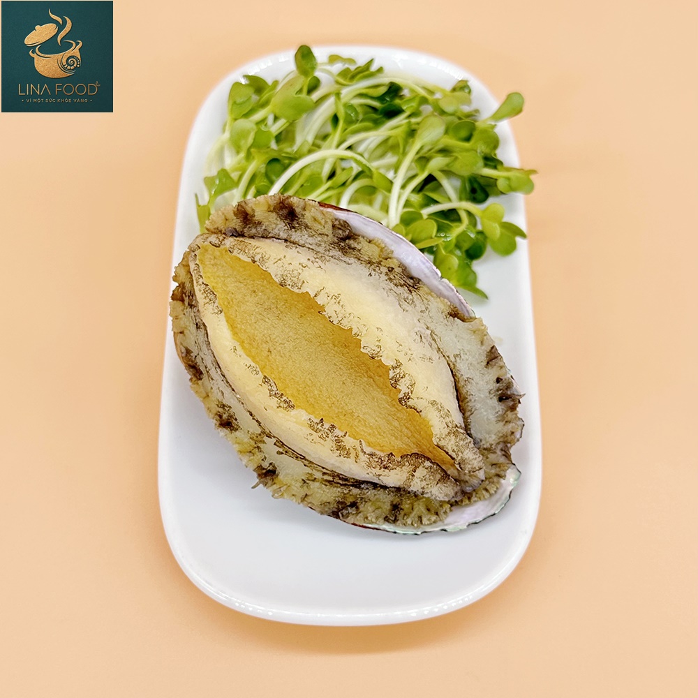 Bào Ngư Đông Lạnh Hàn Quốc (10-12 con/kg)