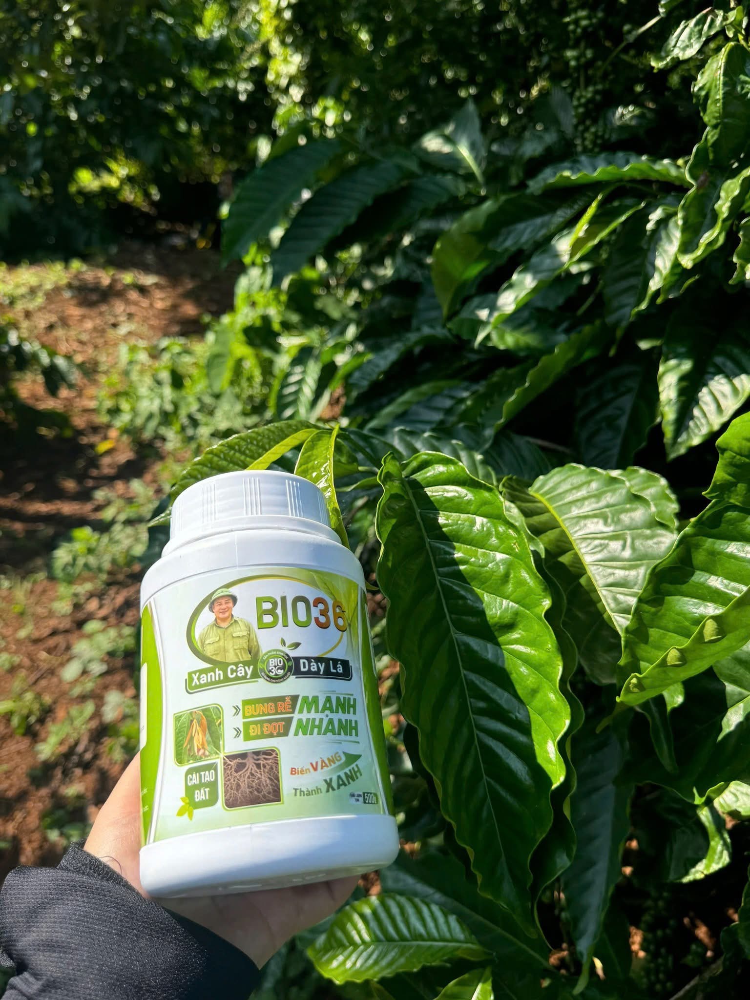 BIO36 Chính Hãng BIO36 Chính Hãng