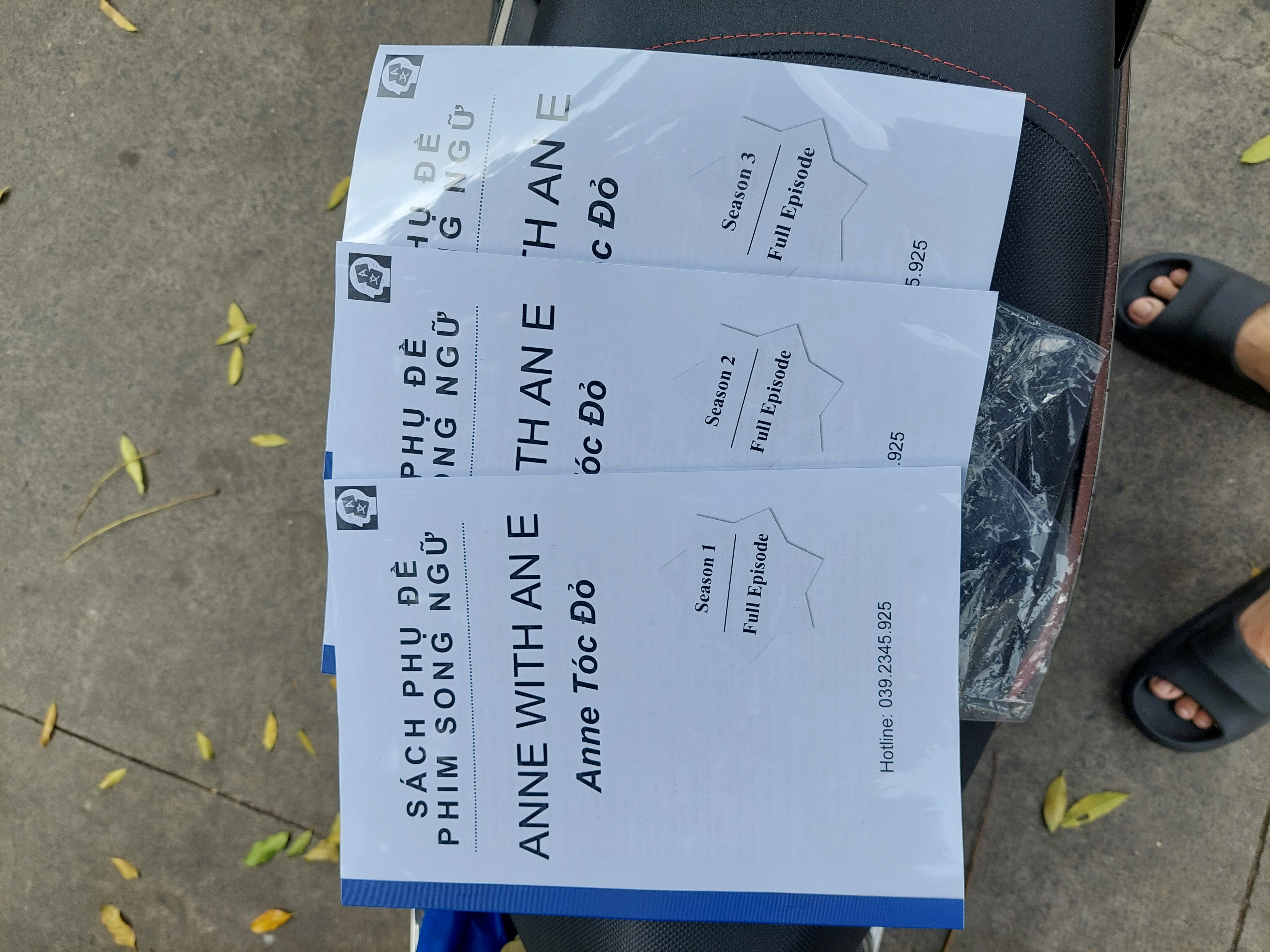 Anne With An E (Anne Tóc Đỏ)_thumbnail_4