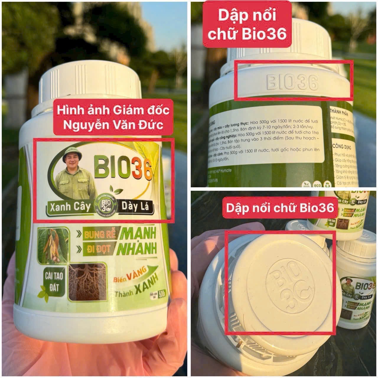 Phân biệt BIO36 chính hãng