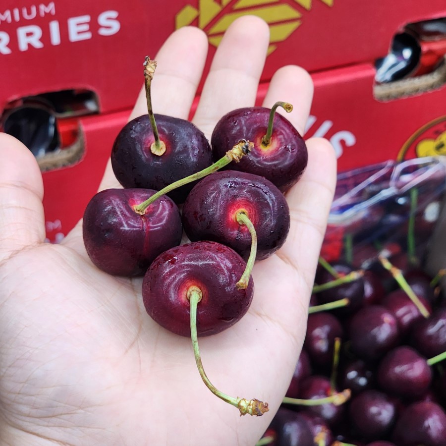 Cherry Chile (Cerasus)