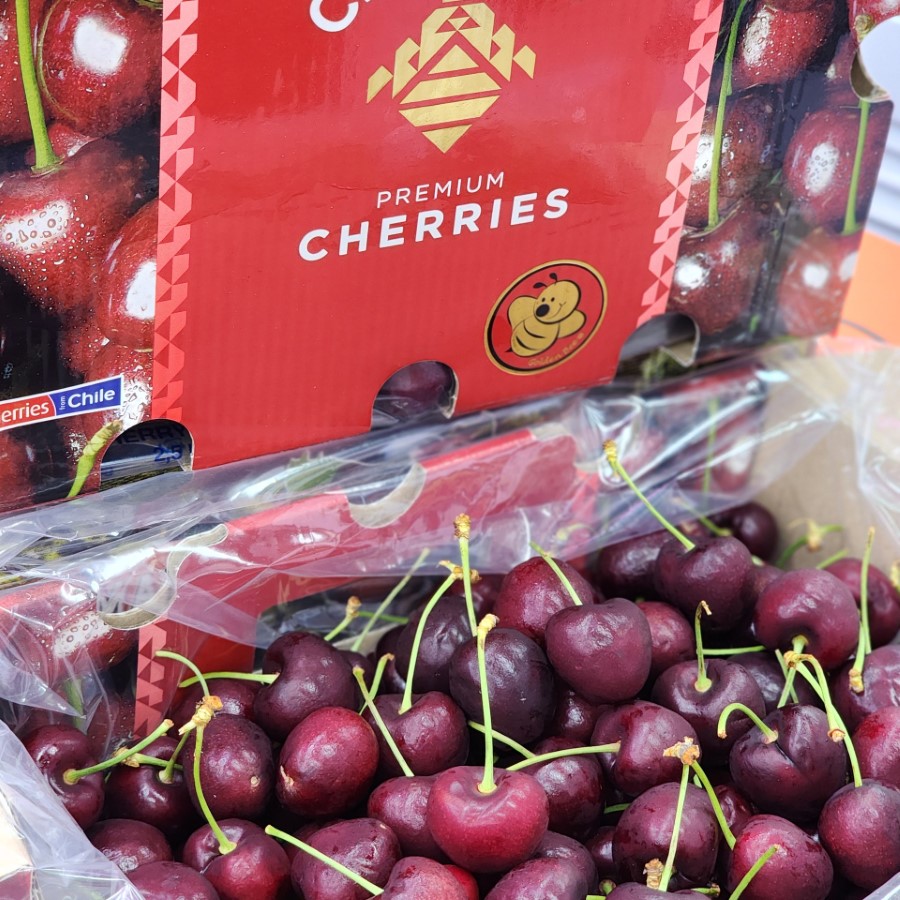 Cherry Chile (Cerasus)_thumbnail_1