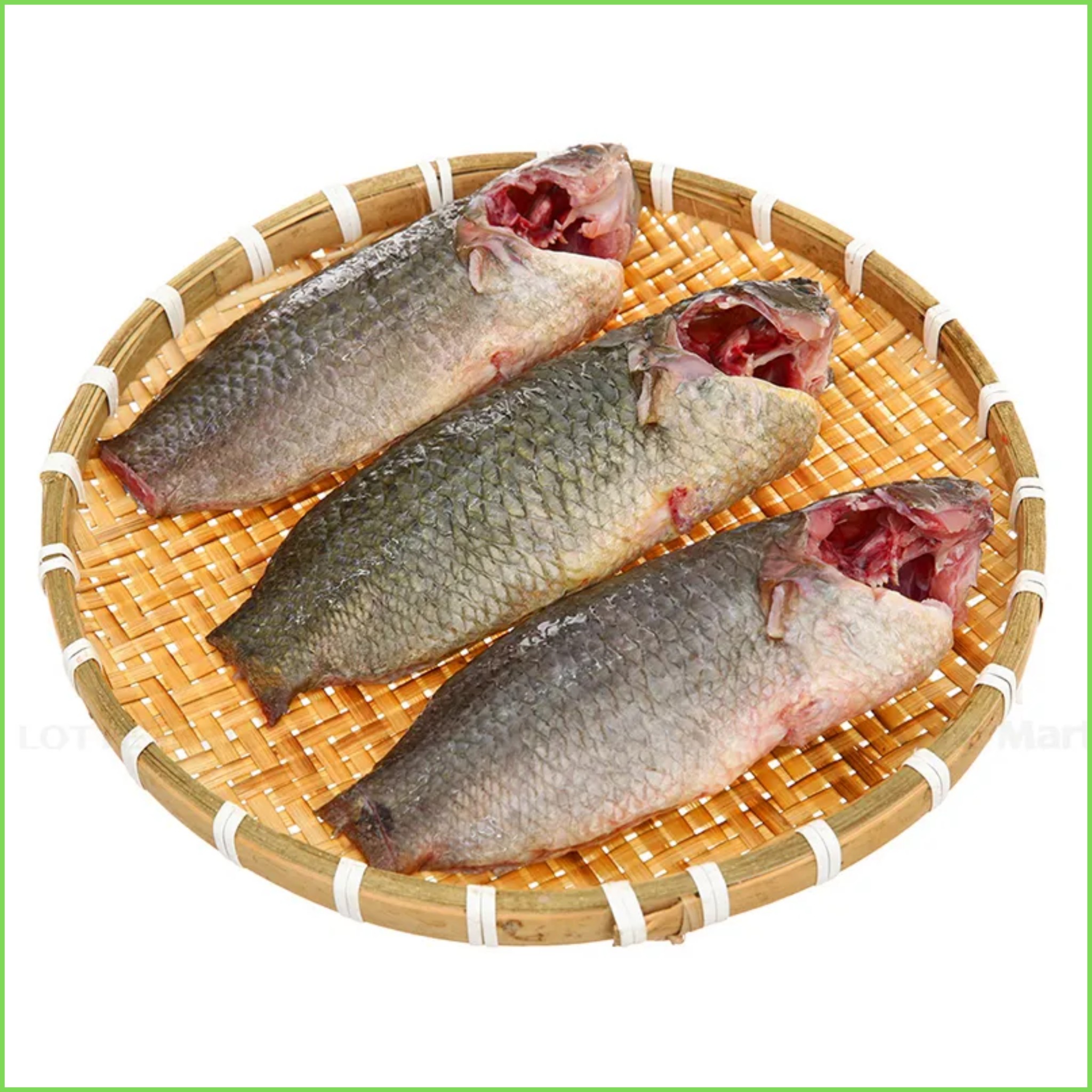 Cá rô đồng