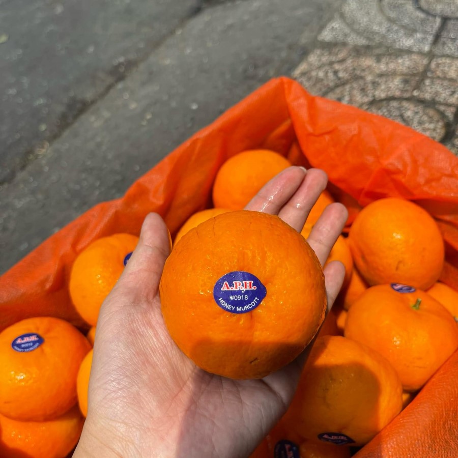 Quýt Úc Mật (Fresh Citrus)