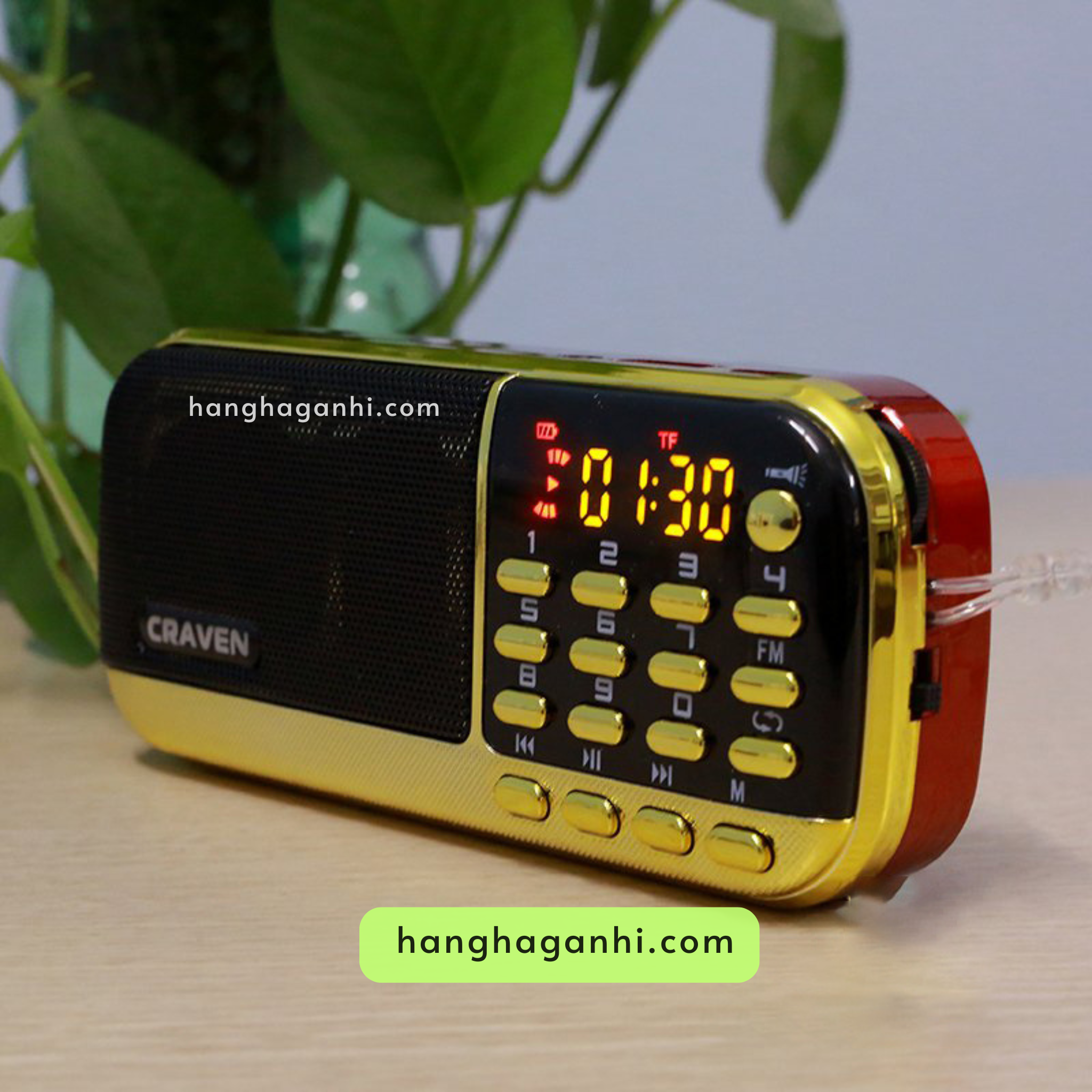 Loa Craven cho bé học tiếng Anh, đã kèm thẻ nhớ 8GB, 3 pin, dây sạc_thumbnail_5