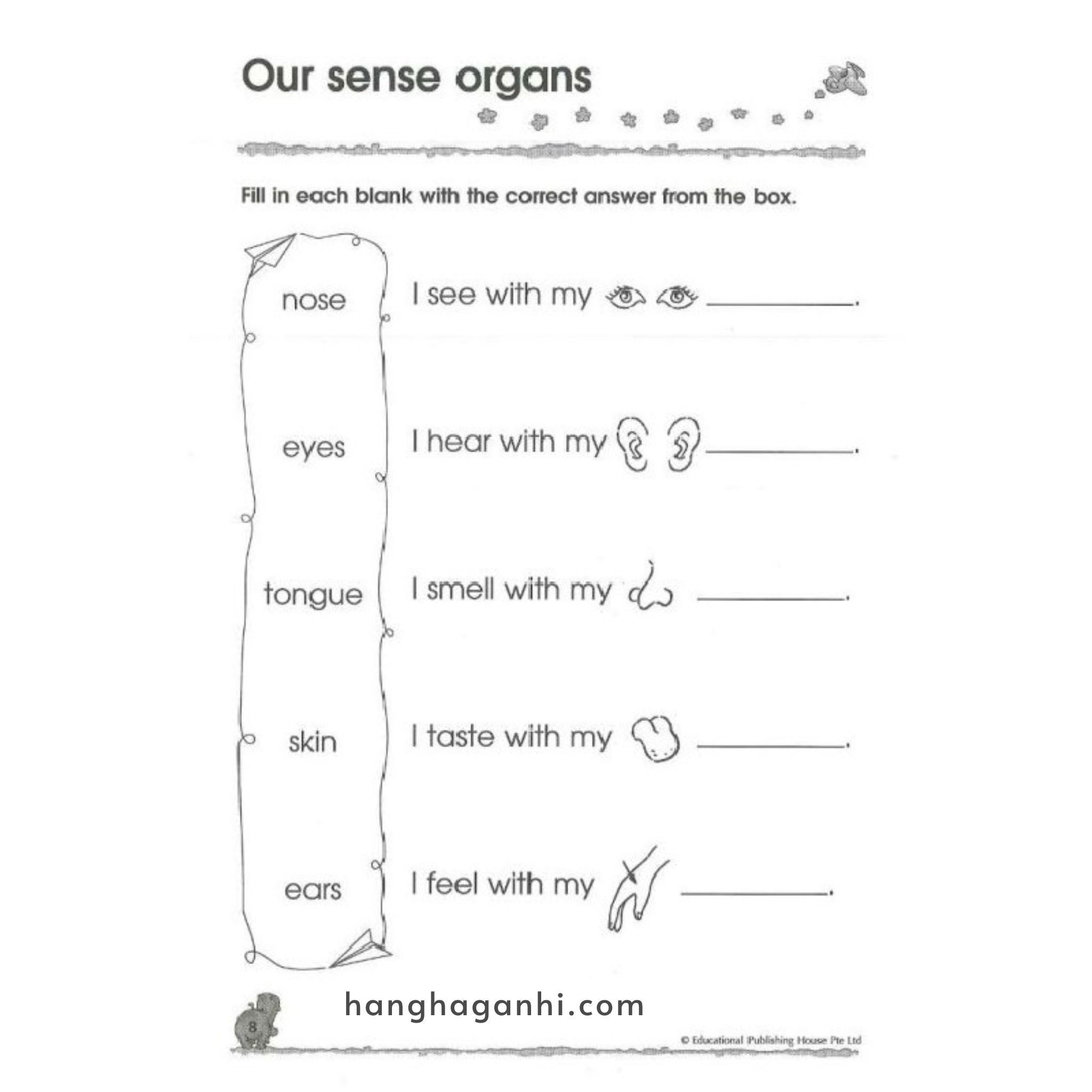 Bộ sách 300 Kindergarten – 3 cuốn_thumbnail_2