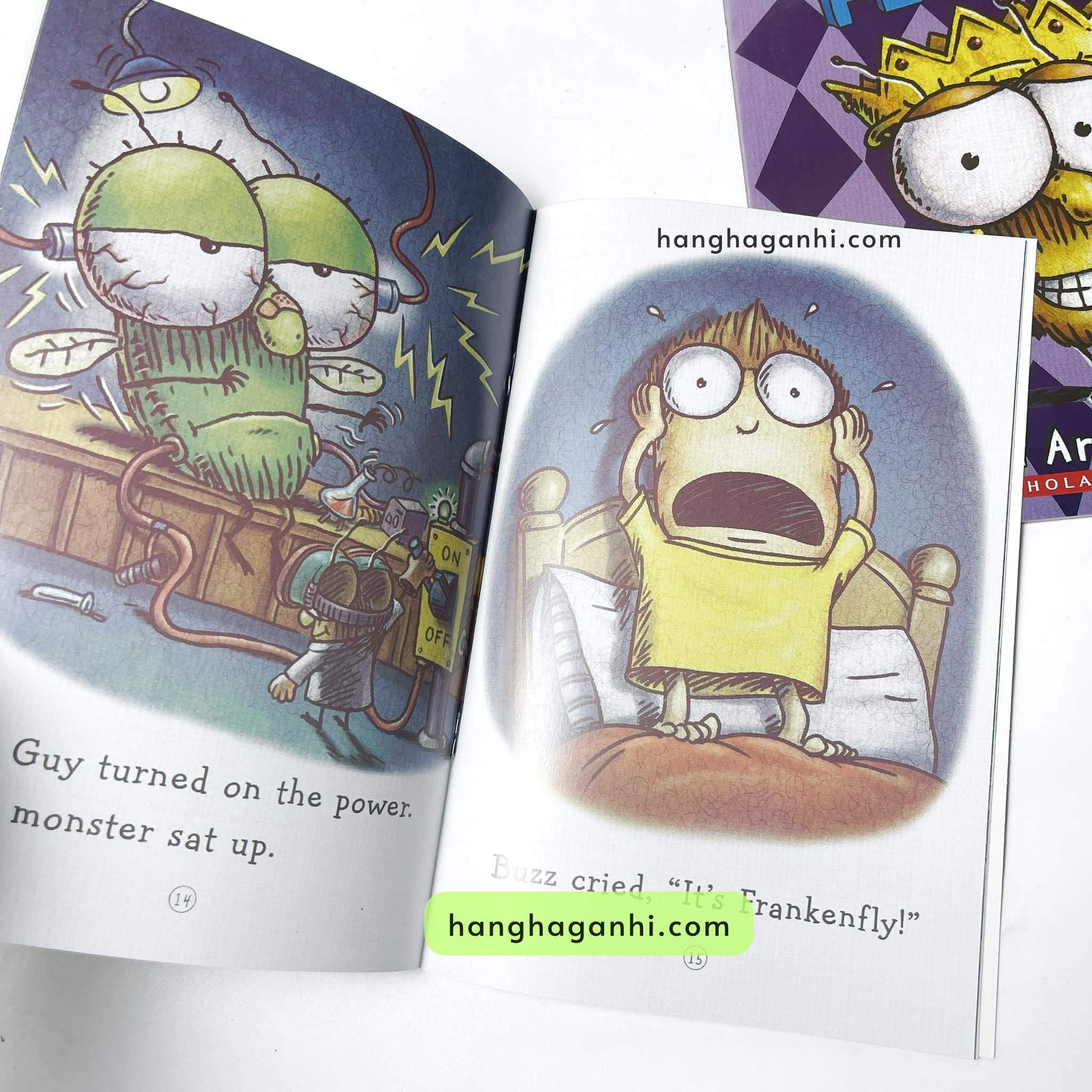 Fly Guy, bộ 21+1 cuốn, truyện tiếng Anh nhập khẩu nguyên seal, nguyên box, kèm file nghe_thumbnail_7