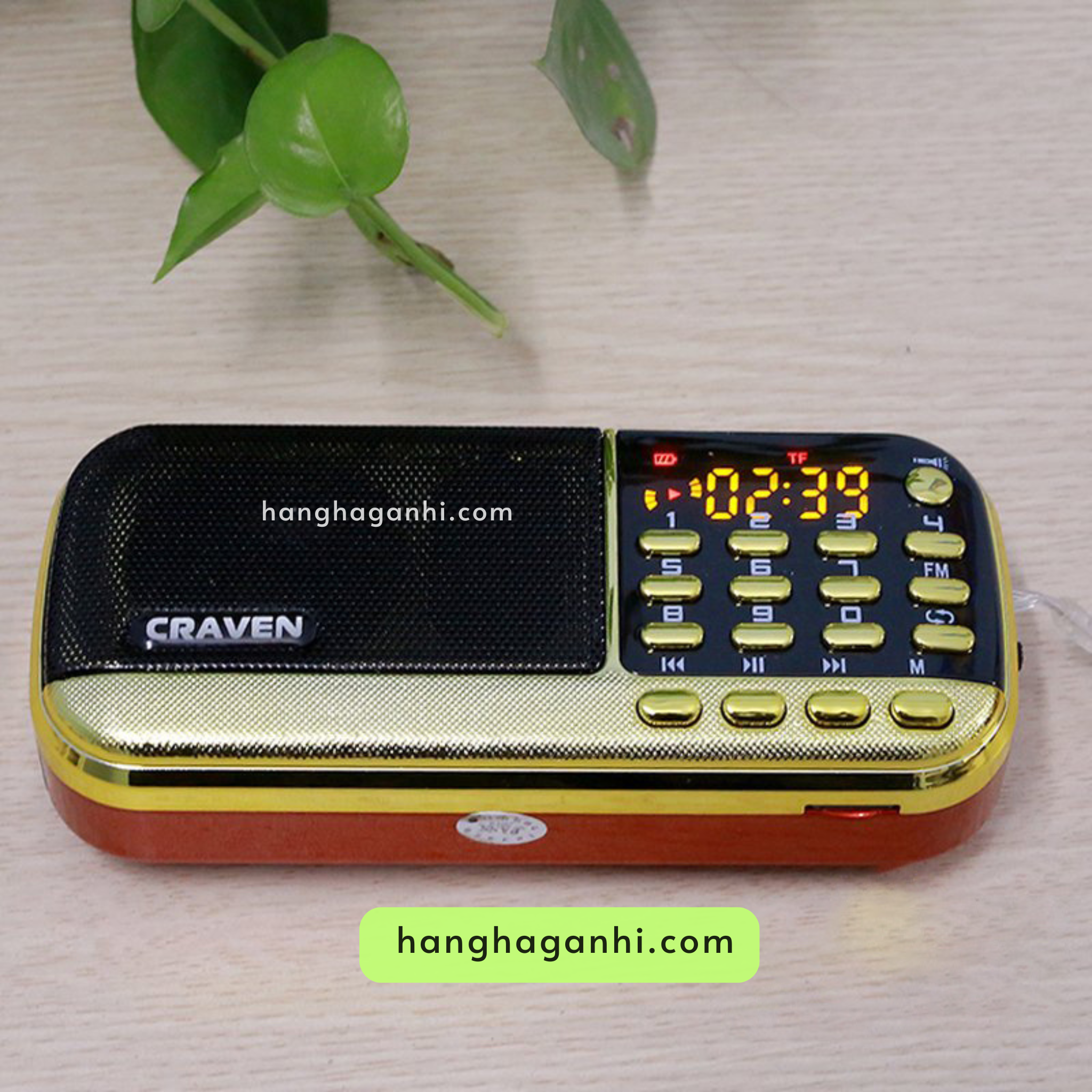 Loa Craven cho bé học tiếng Anh, đã kèm thẻ nhớ 8GB, 3 pin, dây sạc_thumbnail_6