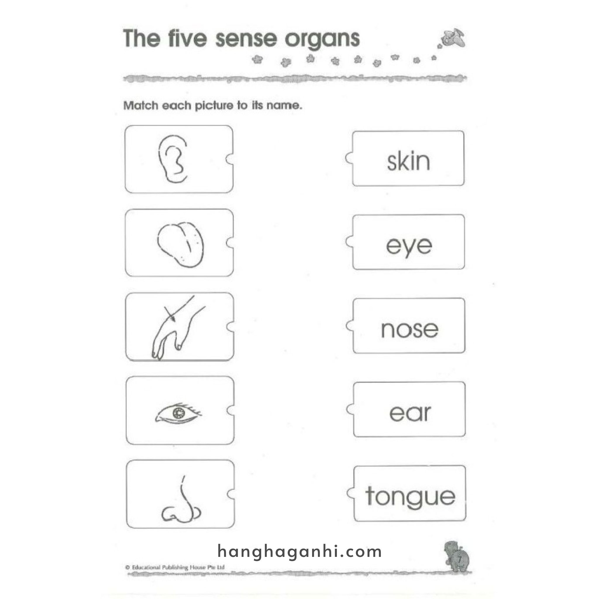 Bộ sách 300 Kindergarten – 3 cuốn_thumbnail_5