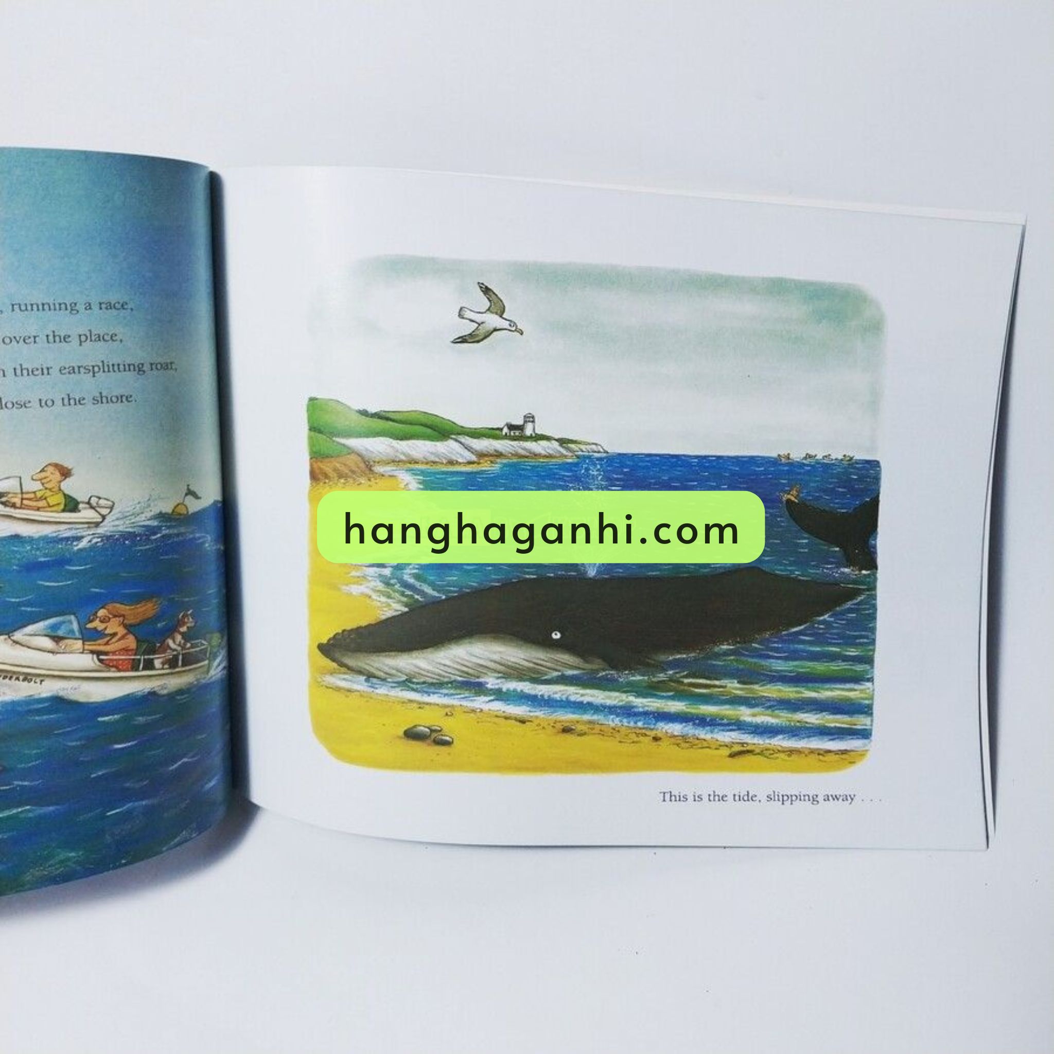 [Sách Nhập Khẩu] Julia Donaldson Collection – Trọn bộ 10 Cuốn_thumbnail_2