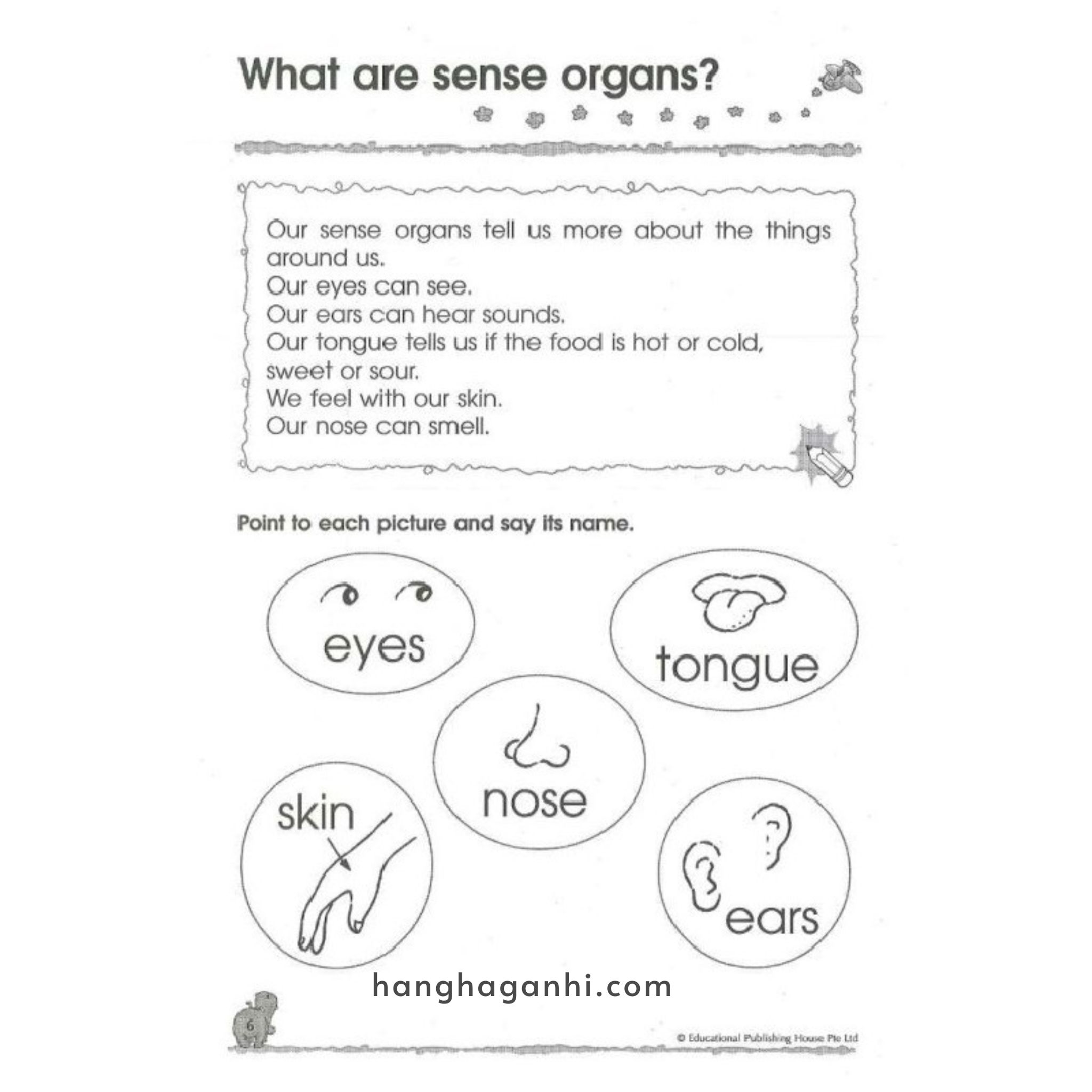 Bộ sách 300 Kindergarten – 3 cuốn_thumbnail_4
