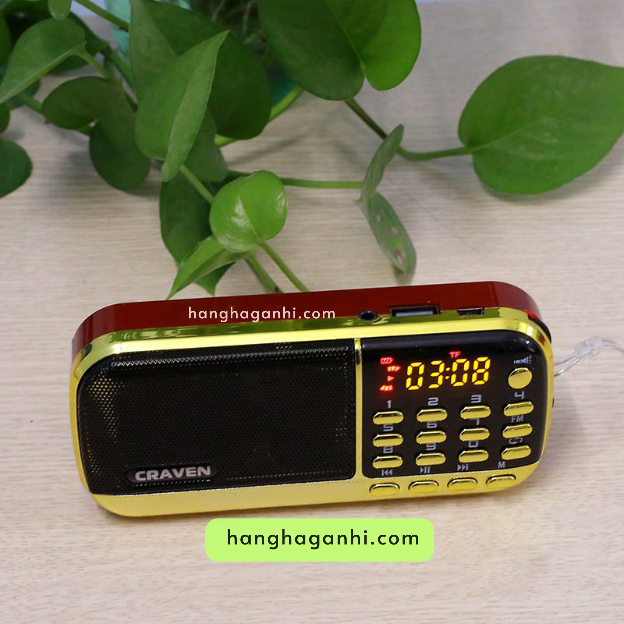Loa Craven cho bé học tiếng Anh, đã kèm thẻ nhớ 8GB, 3 pin, dây sạc_thumbnail_7