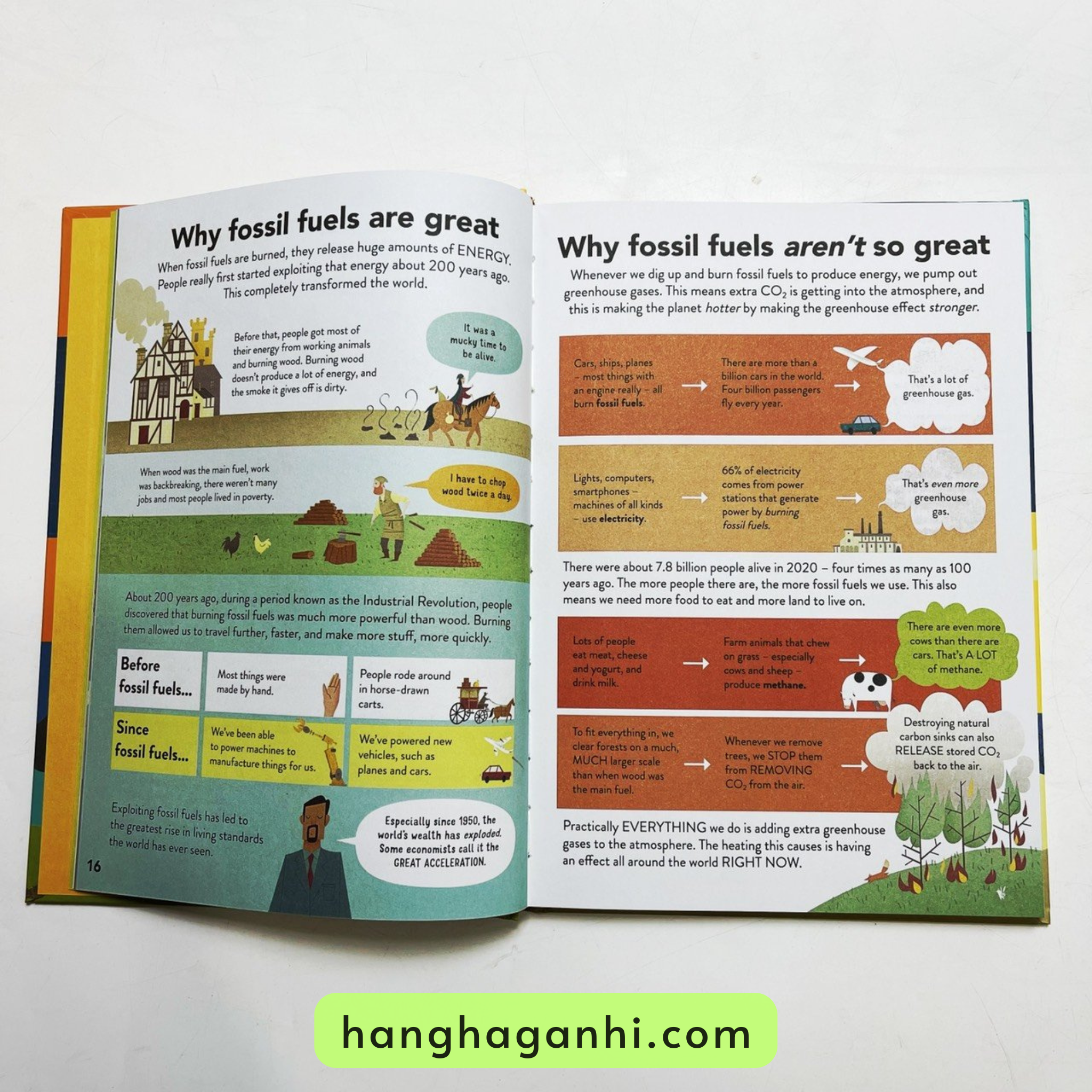 Usborne For Beginners – Trọn Bộ 11 Cuốn_thumbnail_6