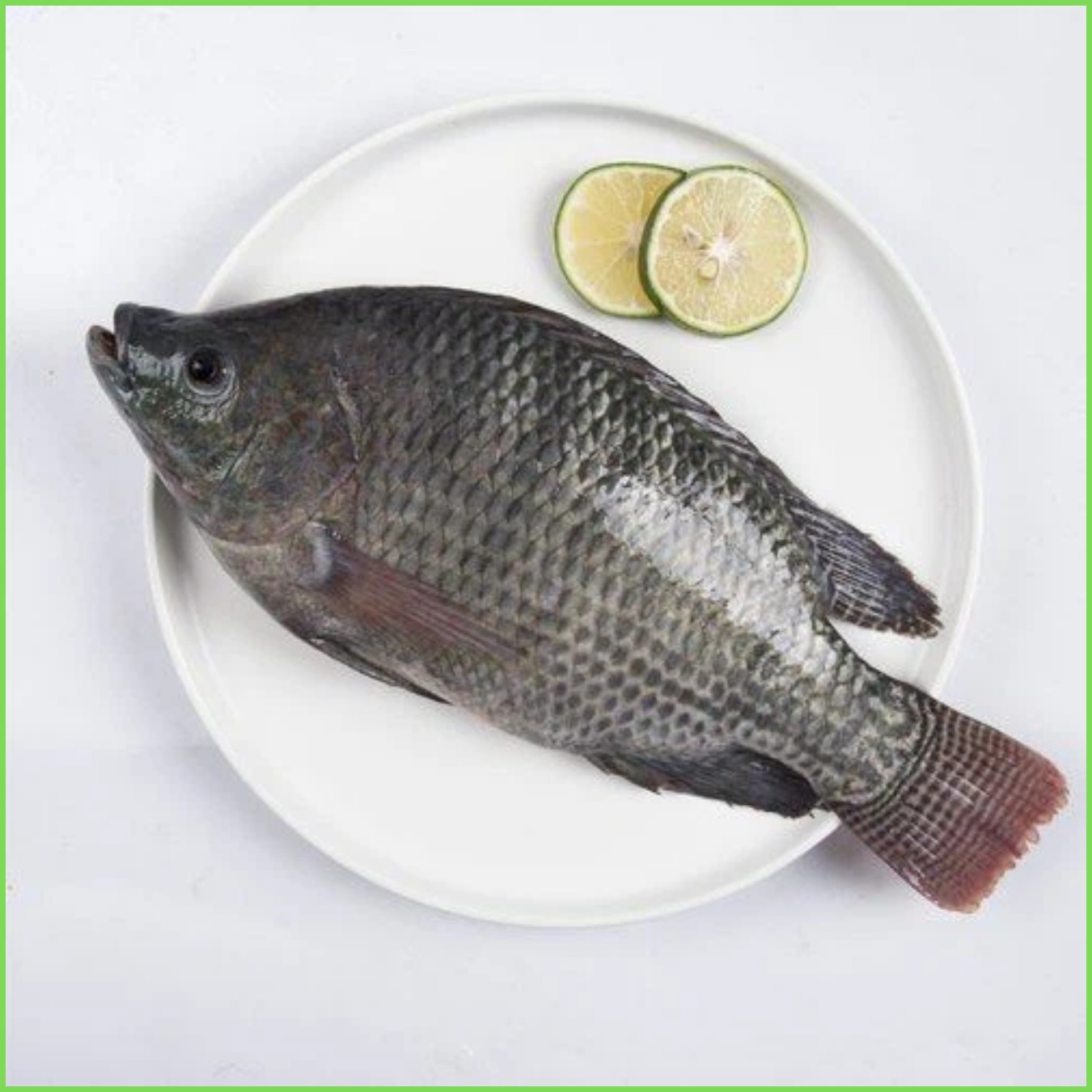Cá Rô phi