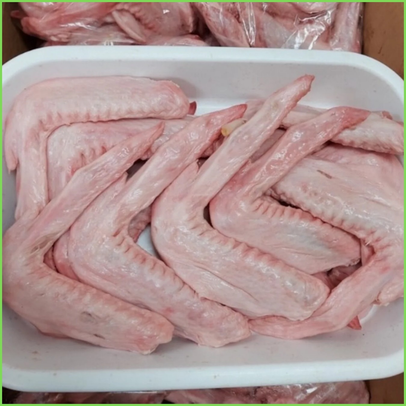 Cánh vịt