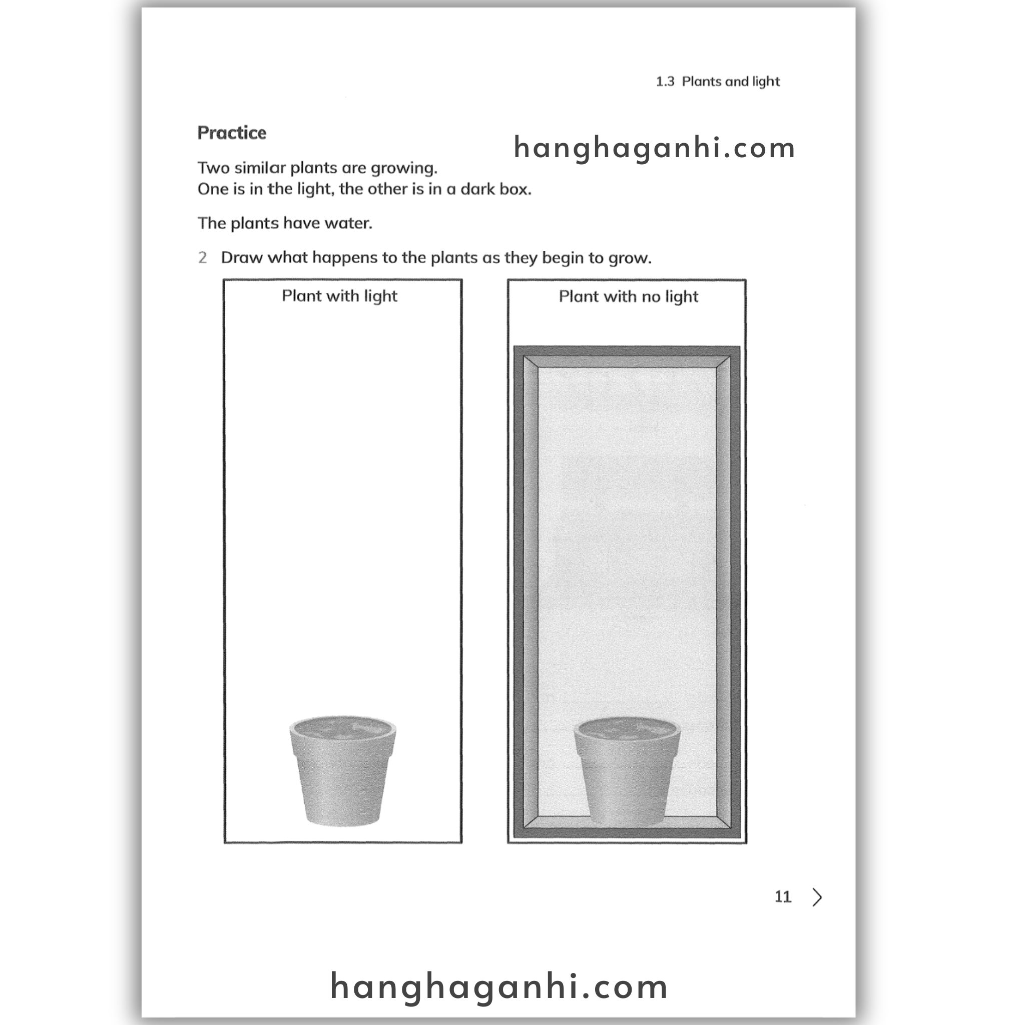 Cambridge Level 3 Primary Science Workbook 2nd edition 2021_thumbnail_8