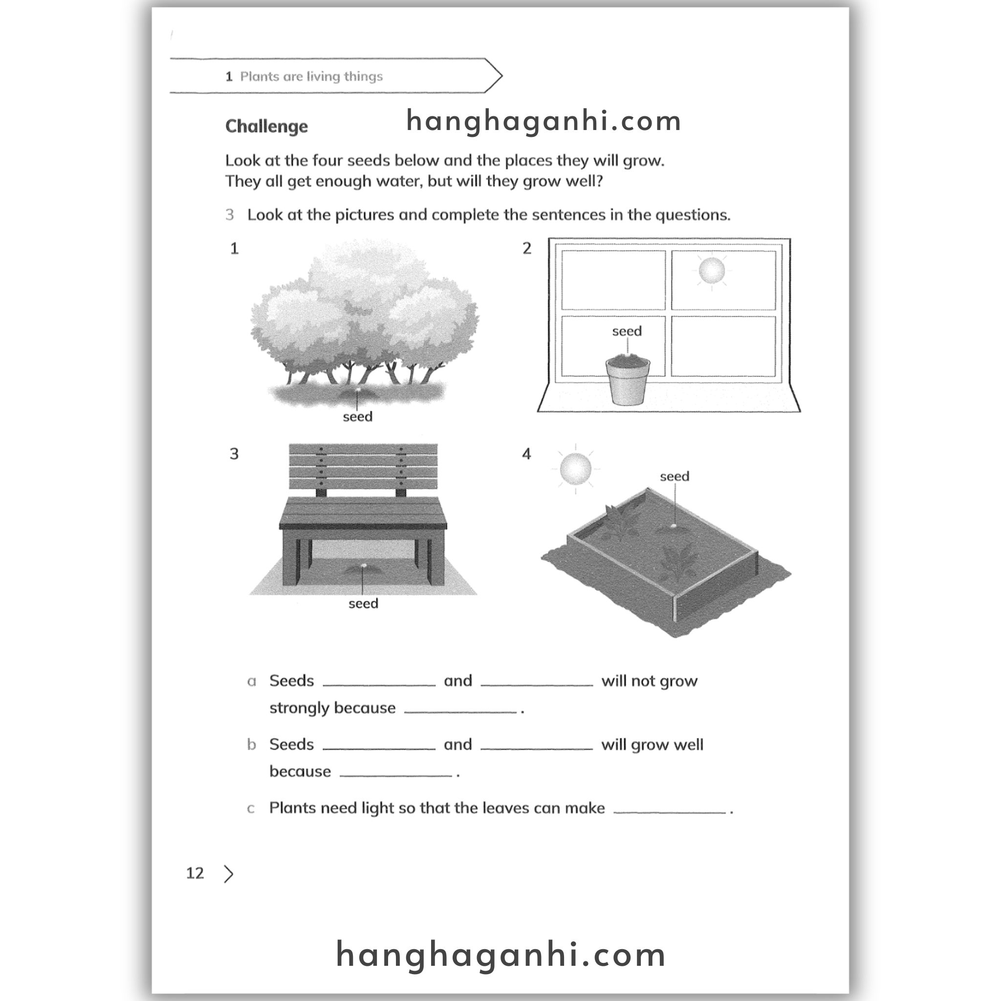 Cambridge Level 3 Primary Science Workbook 2nd edition 2021_thumbnail_9
