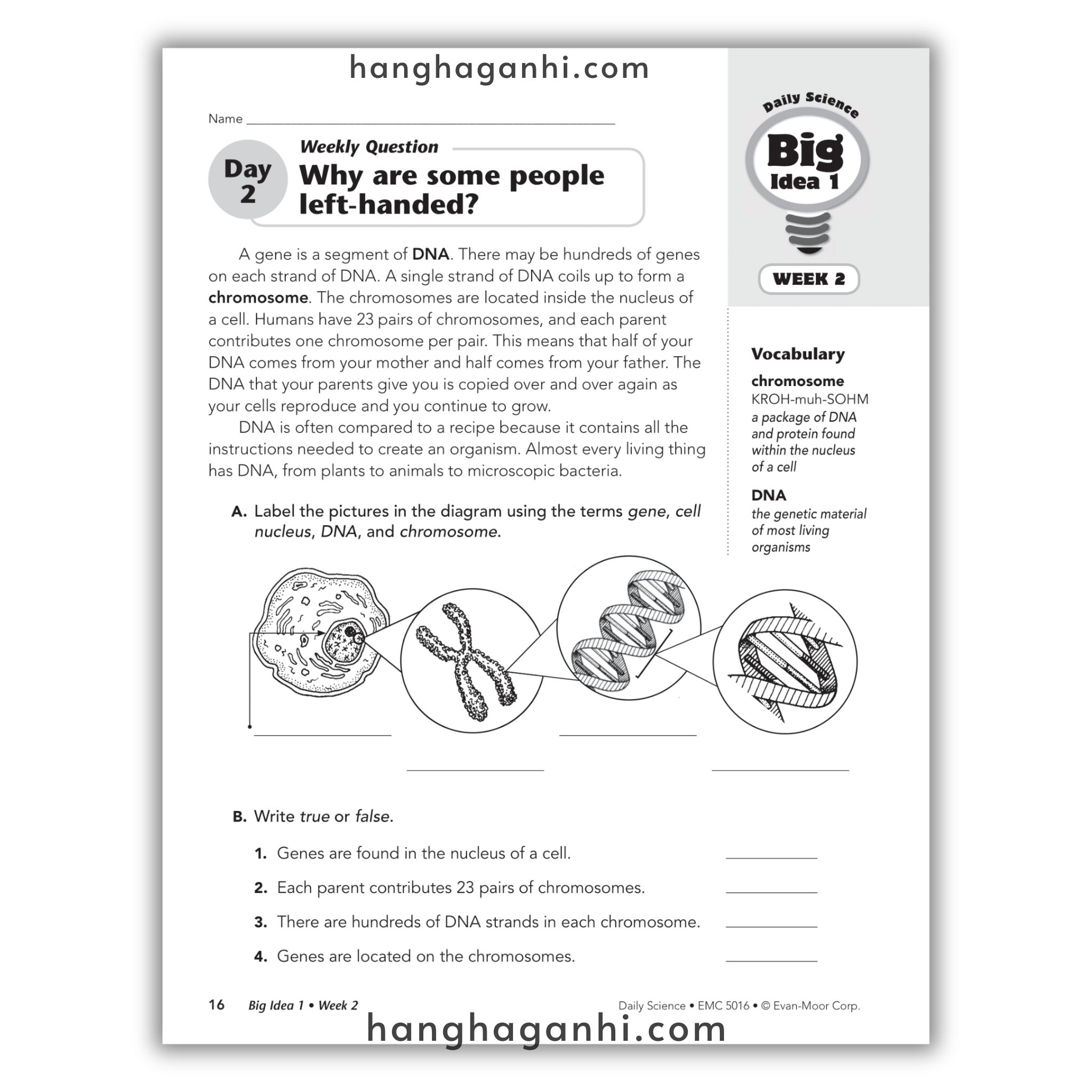 Daily Science Grade 6_thumbnail_2
