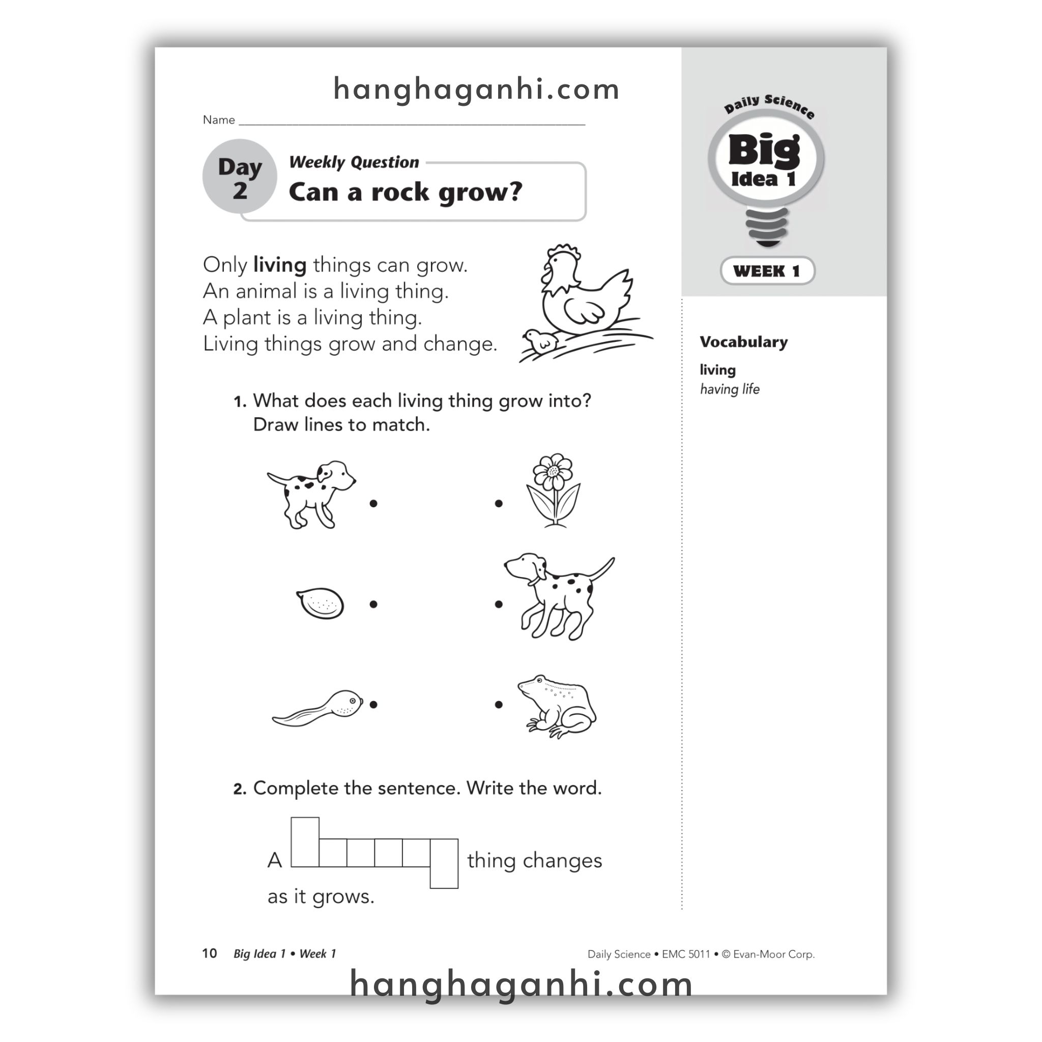 Daily Science Grade 1_thumbnail_13