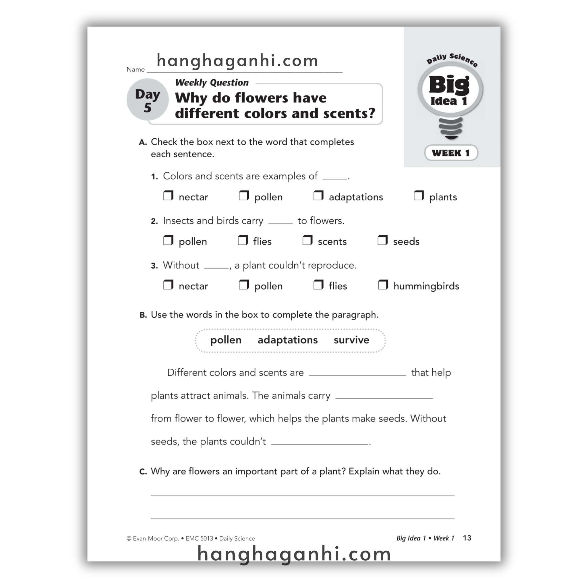 Daily Science Grade 3_thumbnail_4