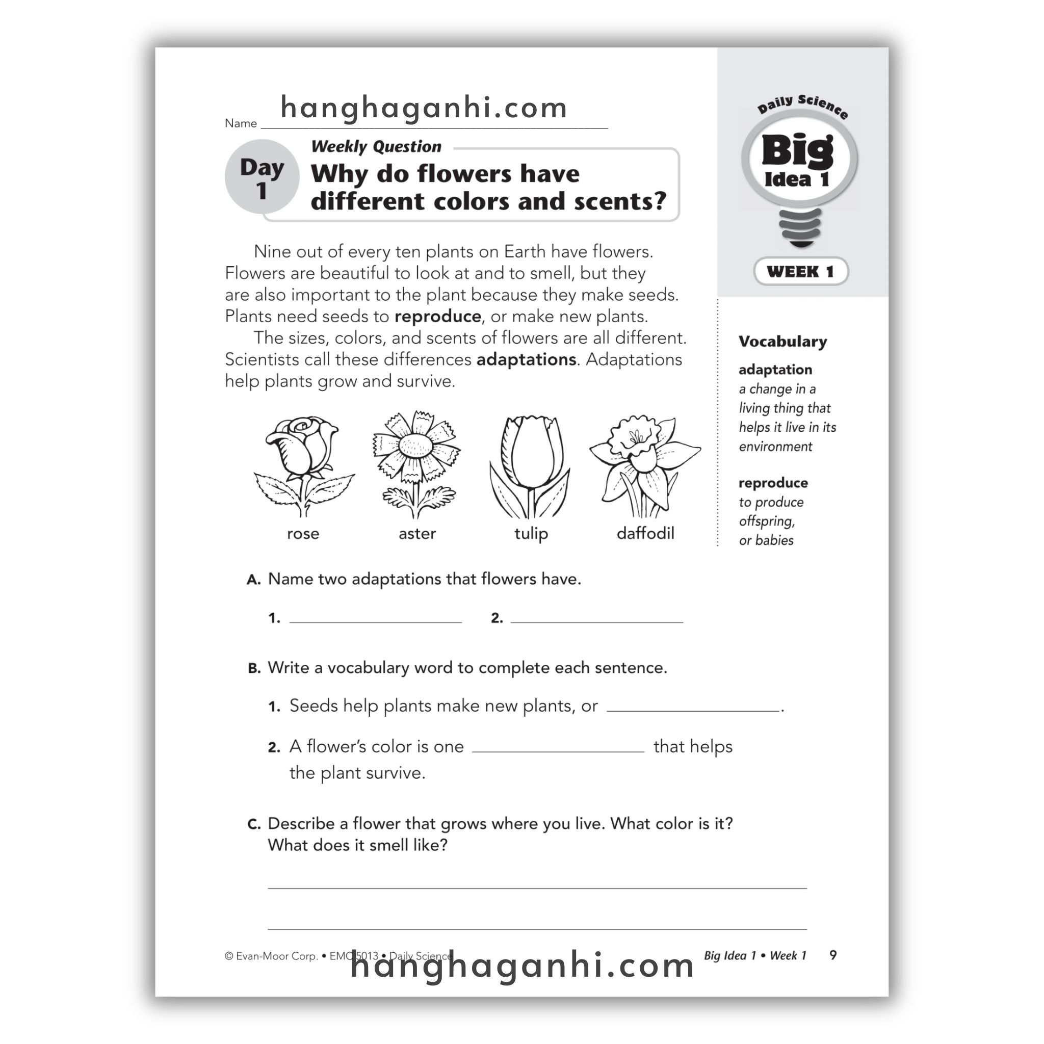 Daily Science Grade 3_thumbnail_8