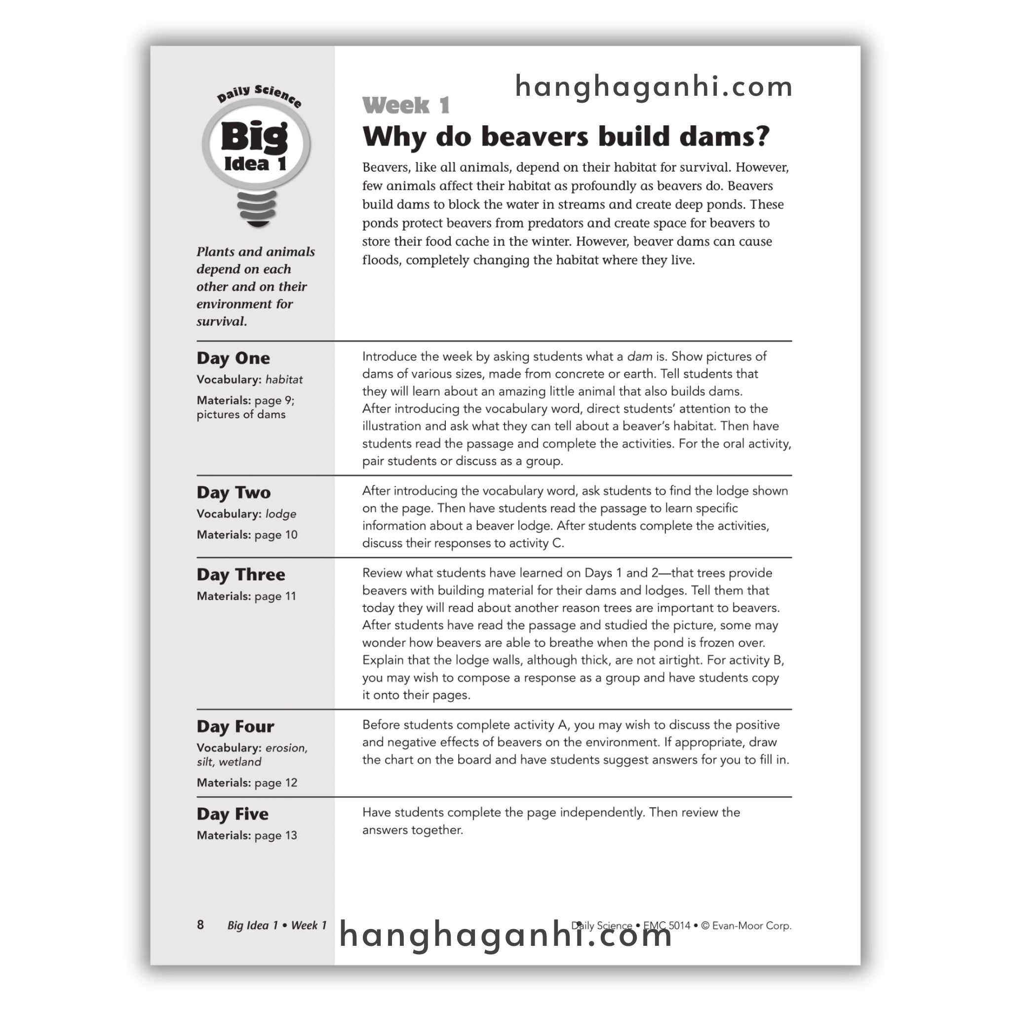 Daily Science Grade 4_thumbnail_12