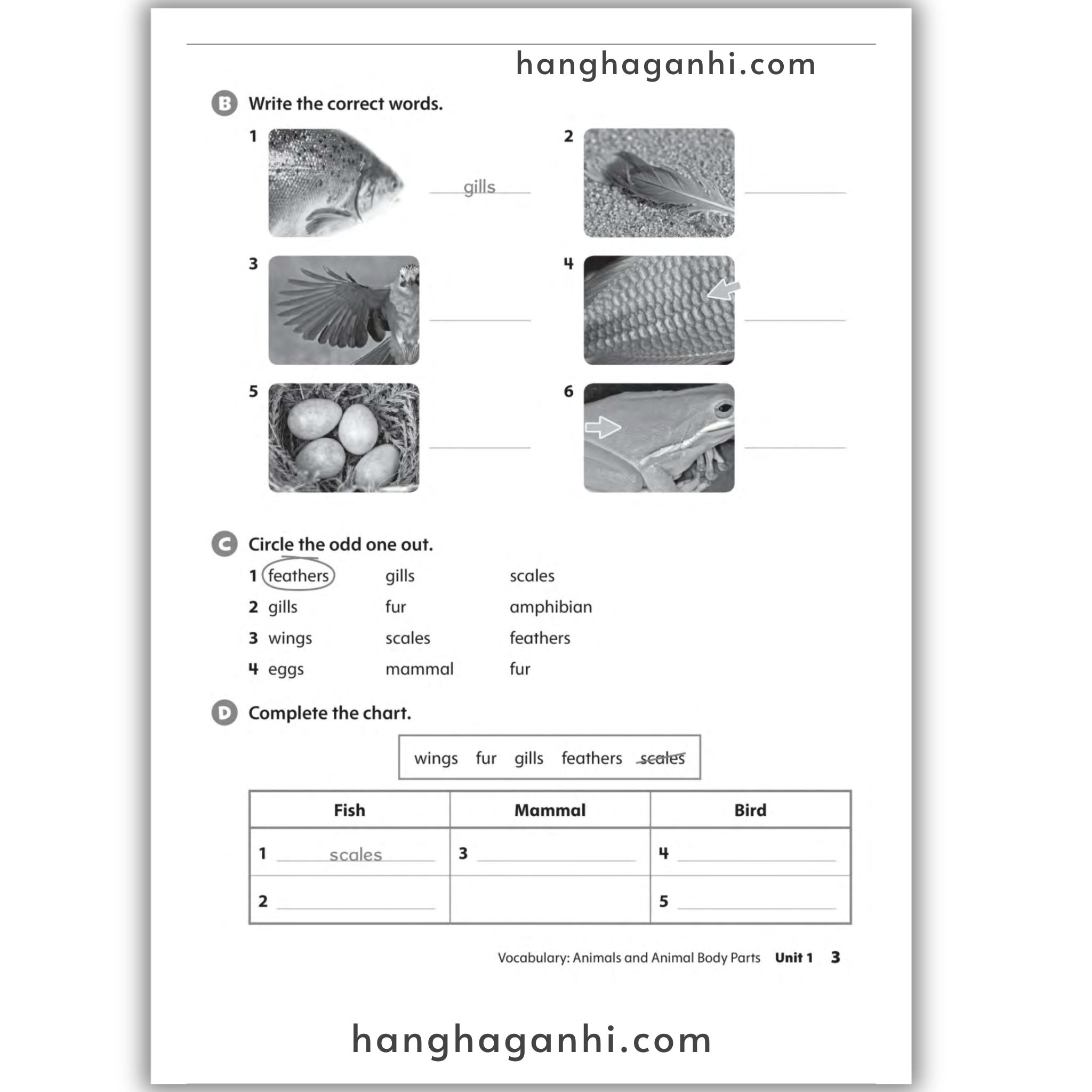 Oxford Discover Level 2 Workbook 2Nd Edition_thumbnail_6