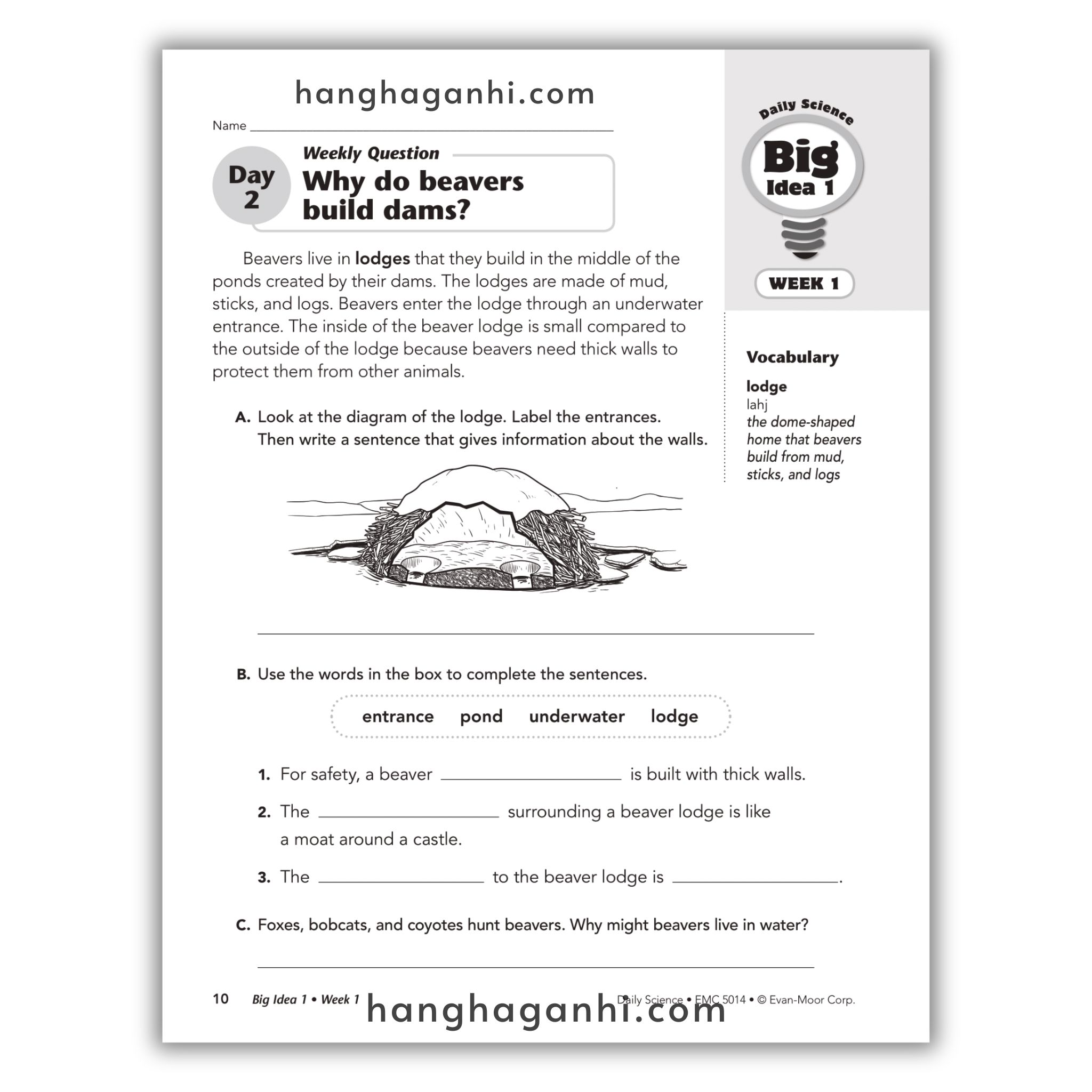 Daily Science Grade 4_thumbnail_9