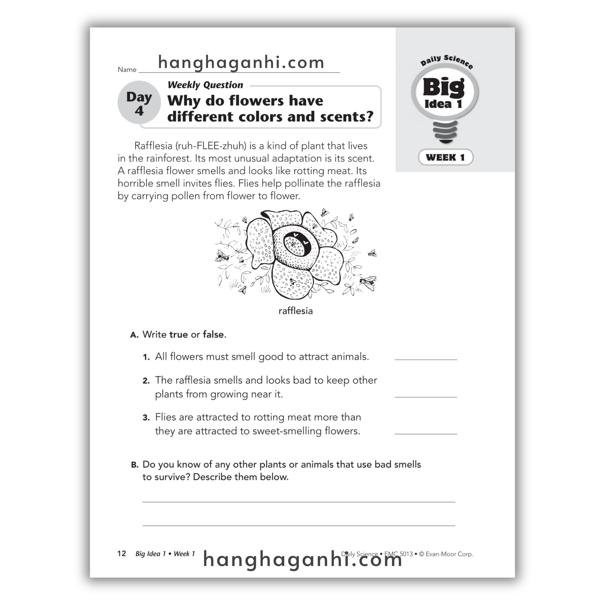 Daily Science Grade 3_thumbnail_5