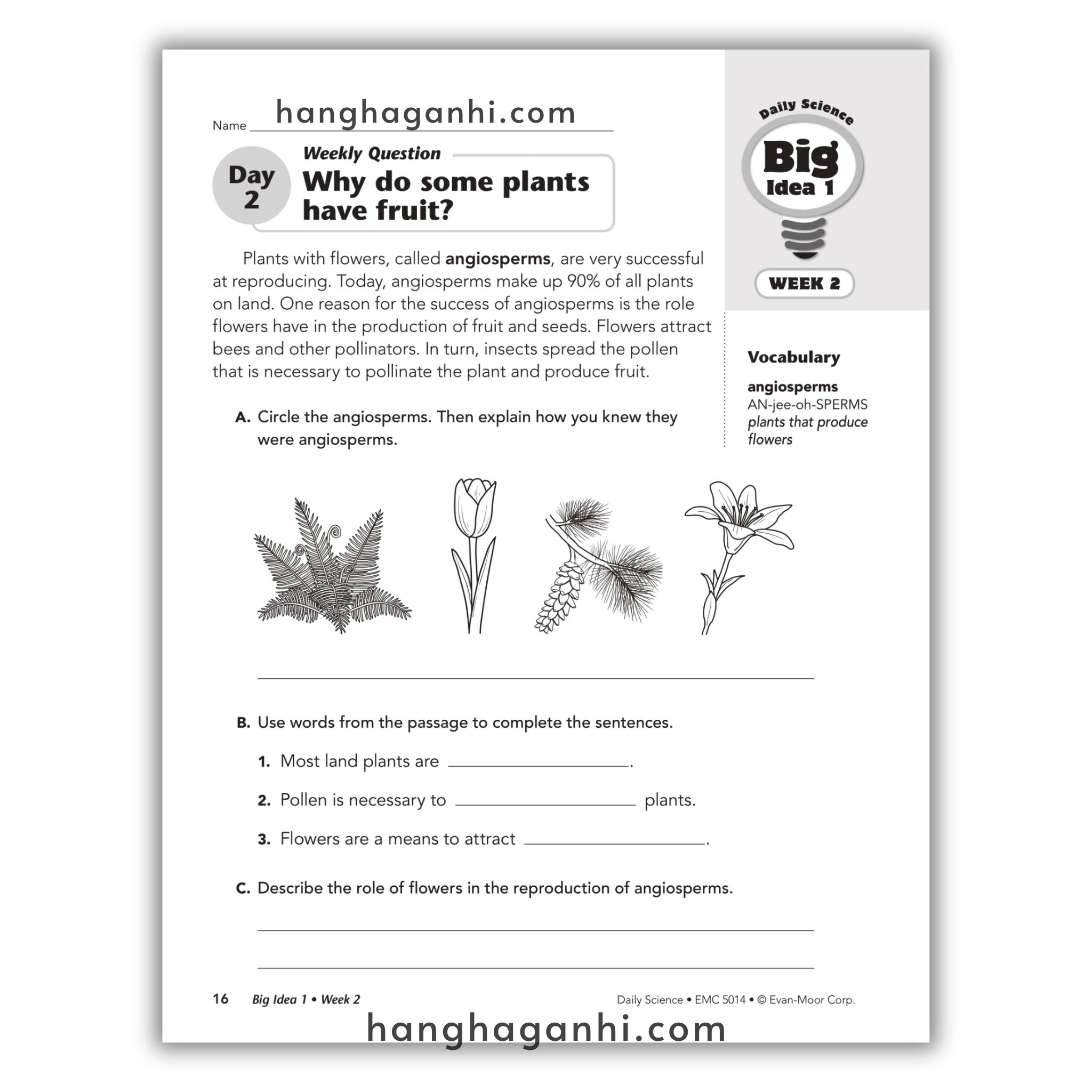 Daily Science Grade 4_thumbnail_2