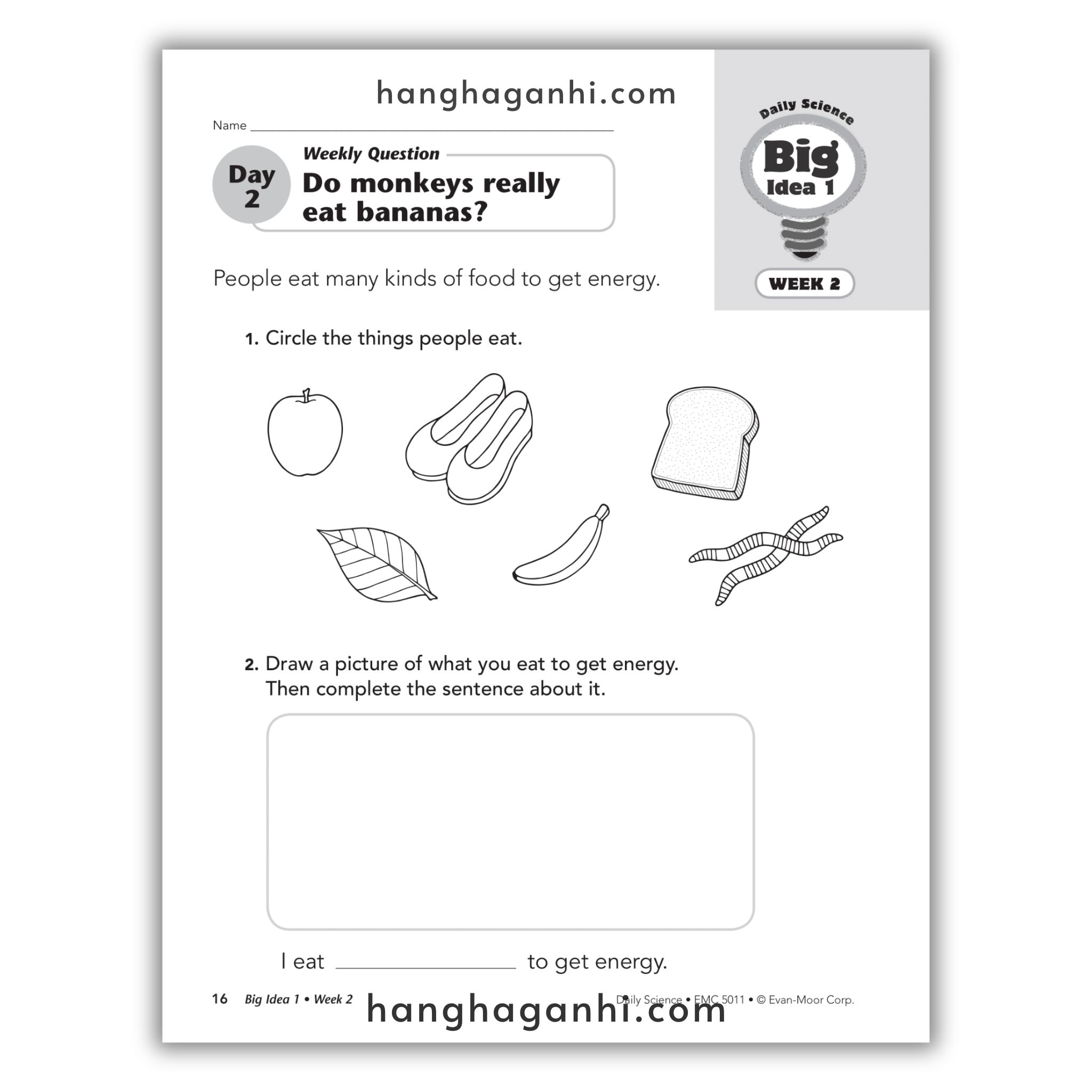 Daily Science Grade 1_thumbnail_7