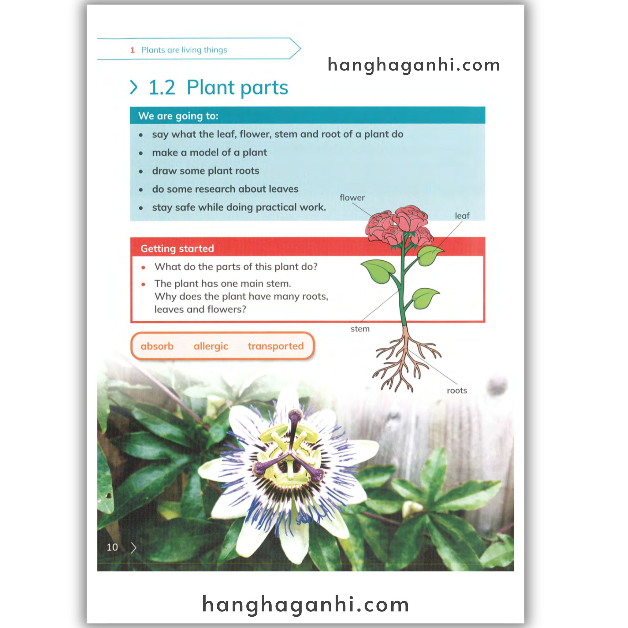 Cambridge Level 3 Primary Science Learner’s Book 2nd edition 2021_thumbnail_6