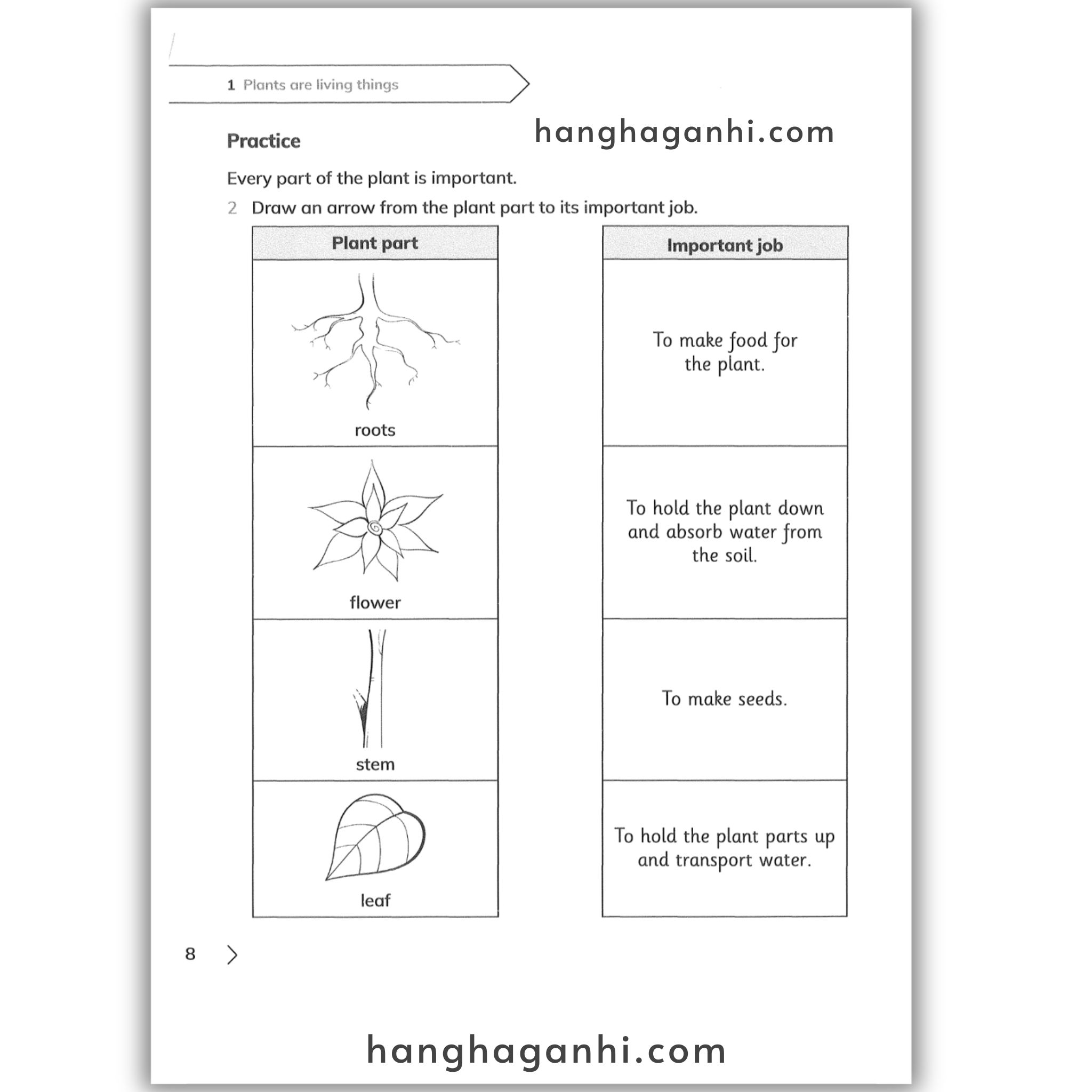 Cambridge Level 3 Primary Science Workbook 2nd edition 2021_thumbnail_12