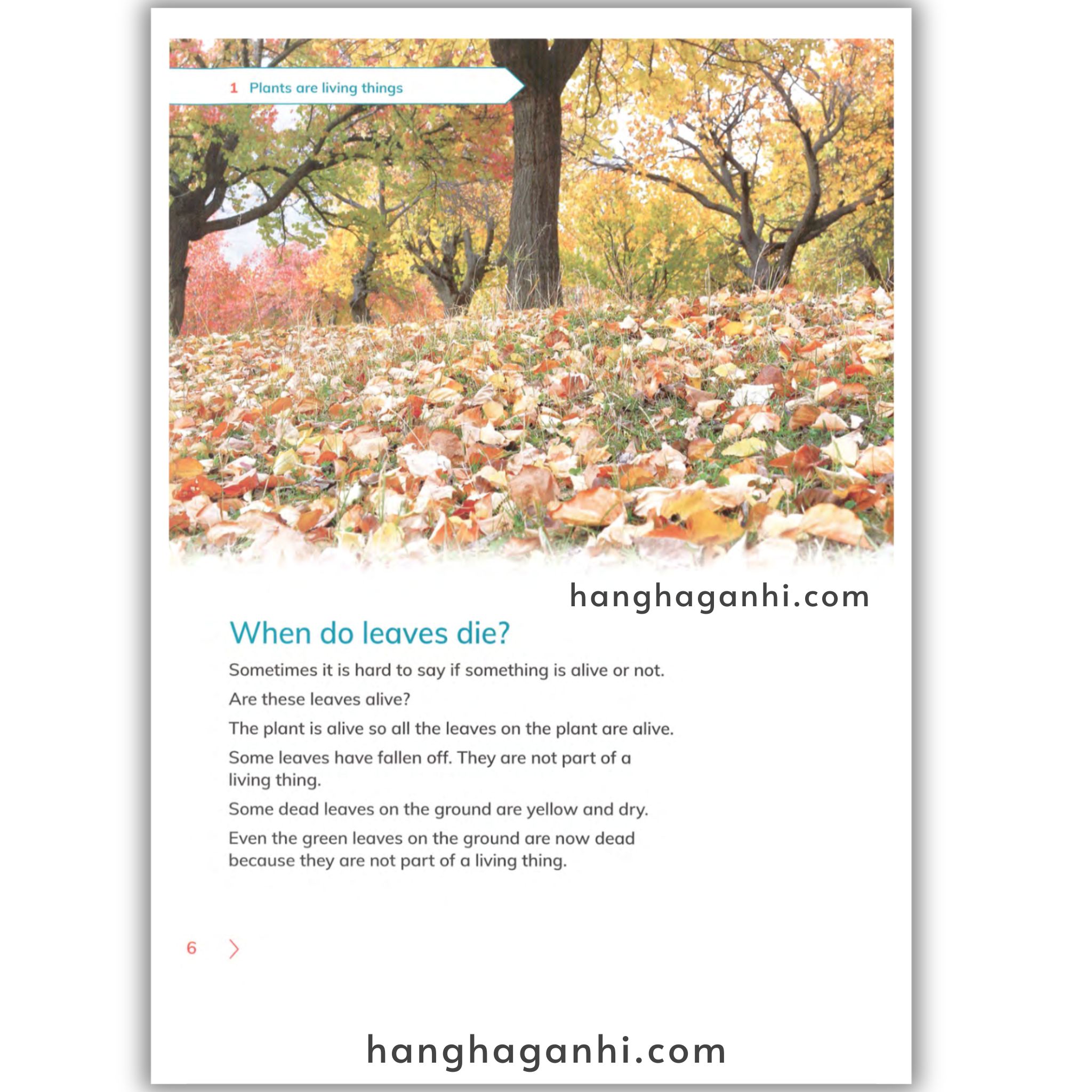 Cambridge Level 3 Primary Science Learner’s Book 2nd edition 2021_thumbnail_10