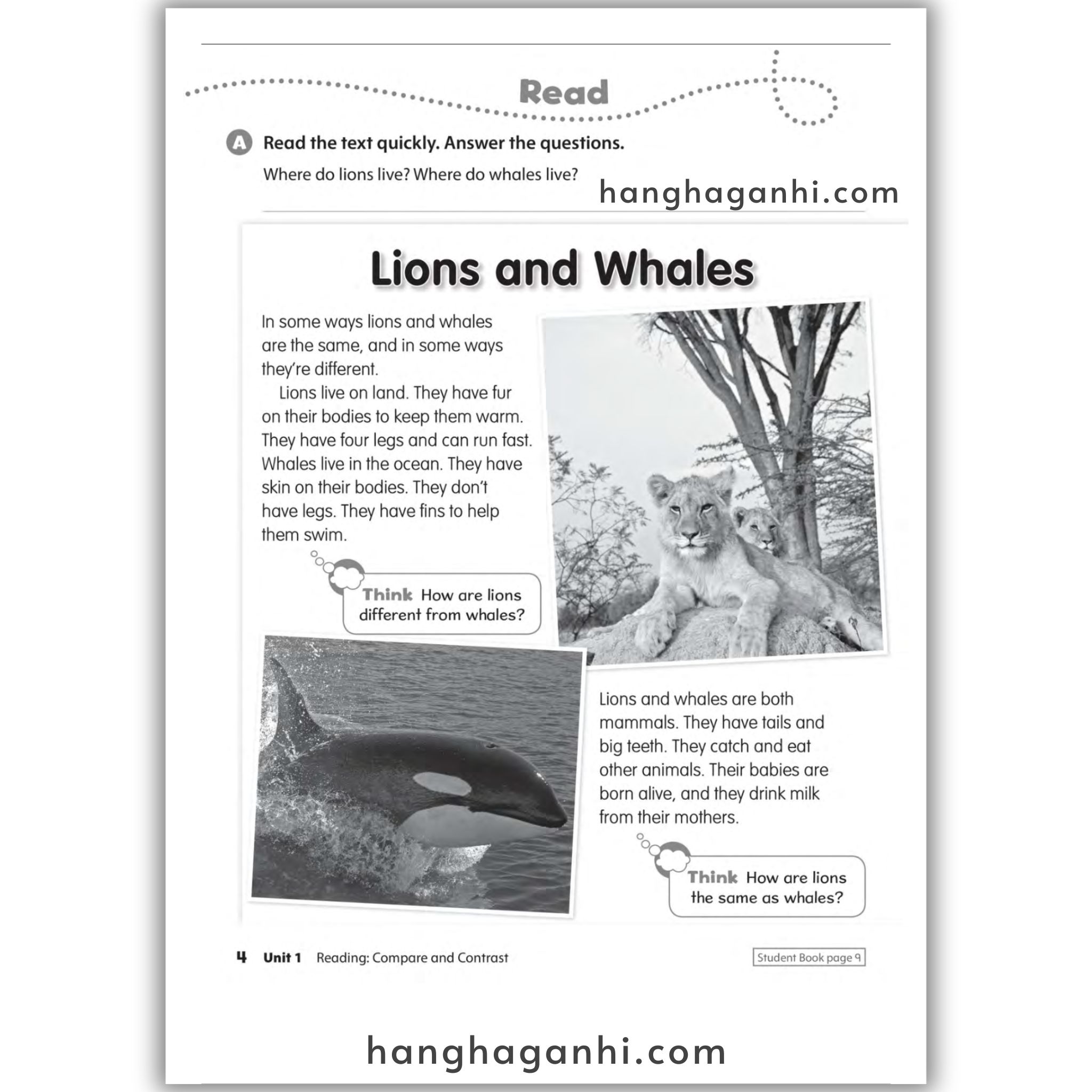 Oxford Discover Level 2 Workbook 2Nd Edition_thumbnail_12
