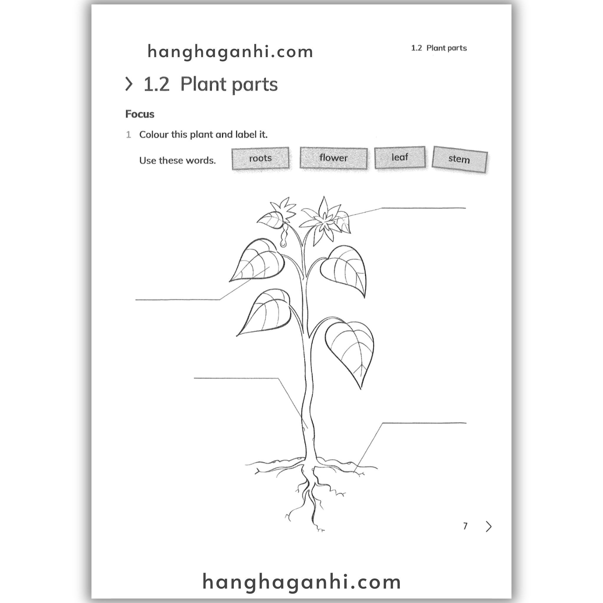 Cambridge Level 3 Primary Science Workbook 2nd edition 2021_thumbnail_11