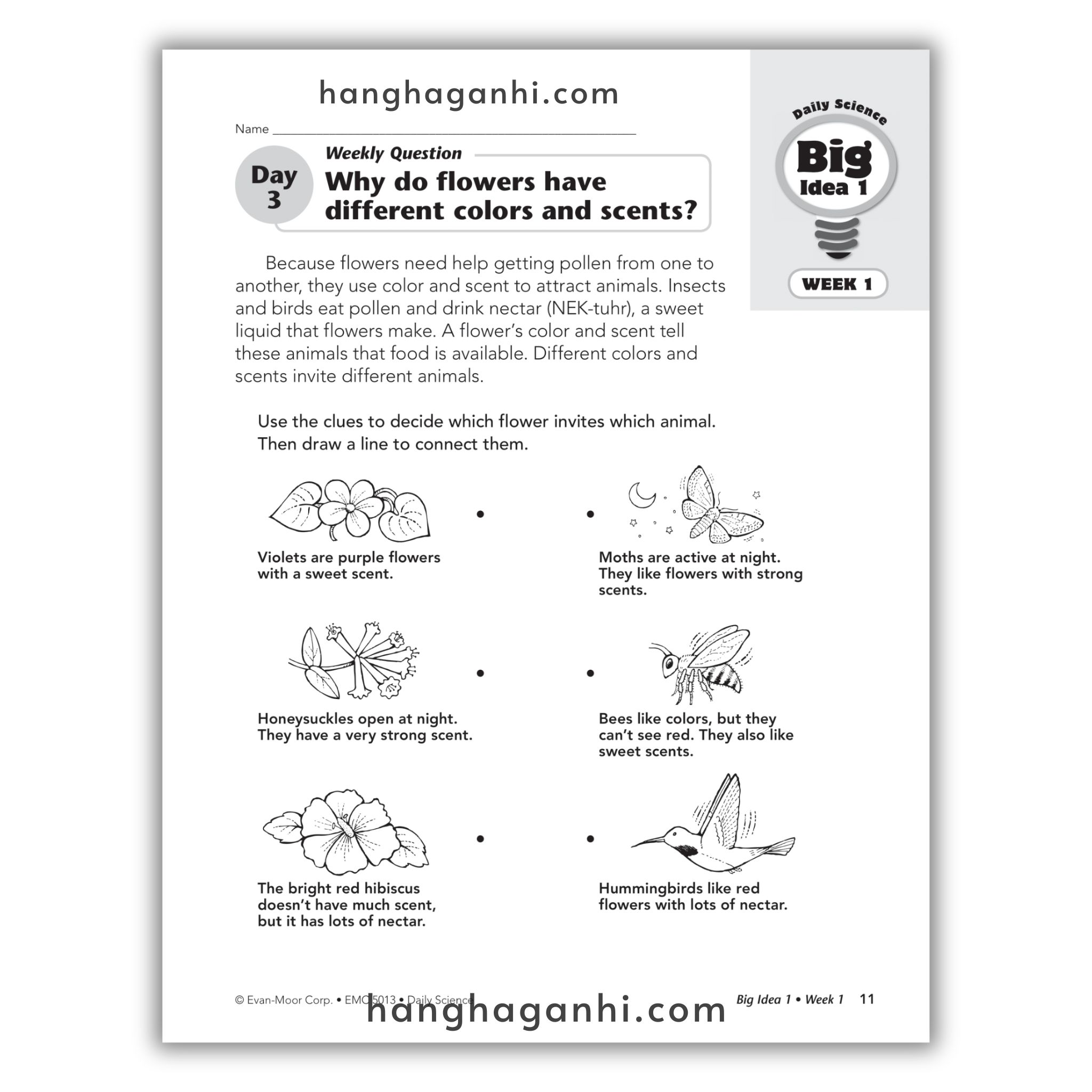 Daily Science Grade 3_thumbnail_6