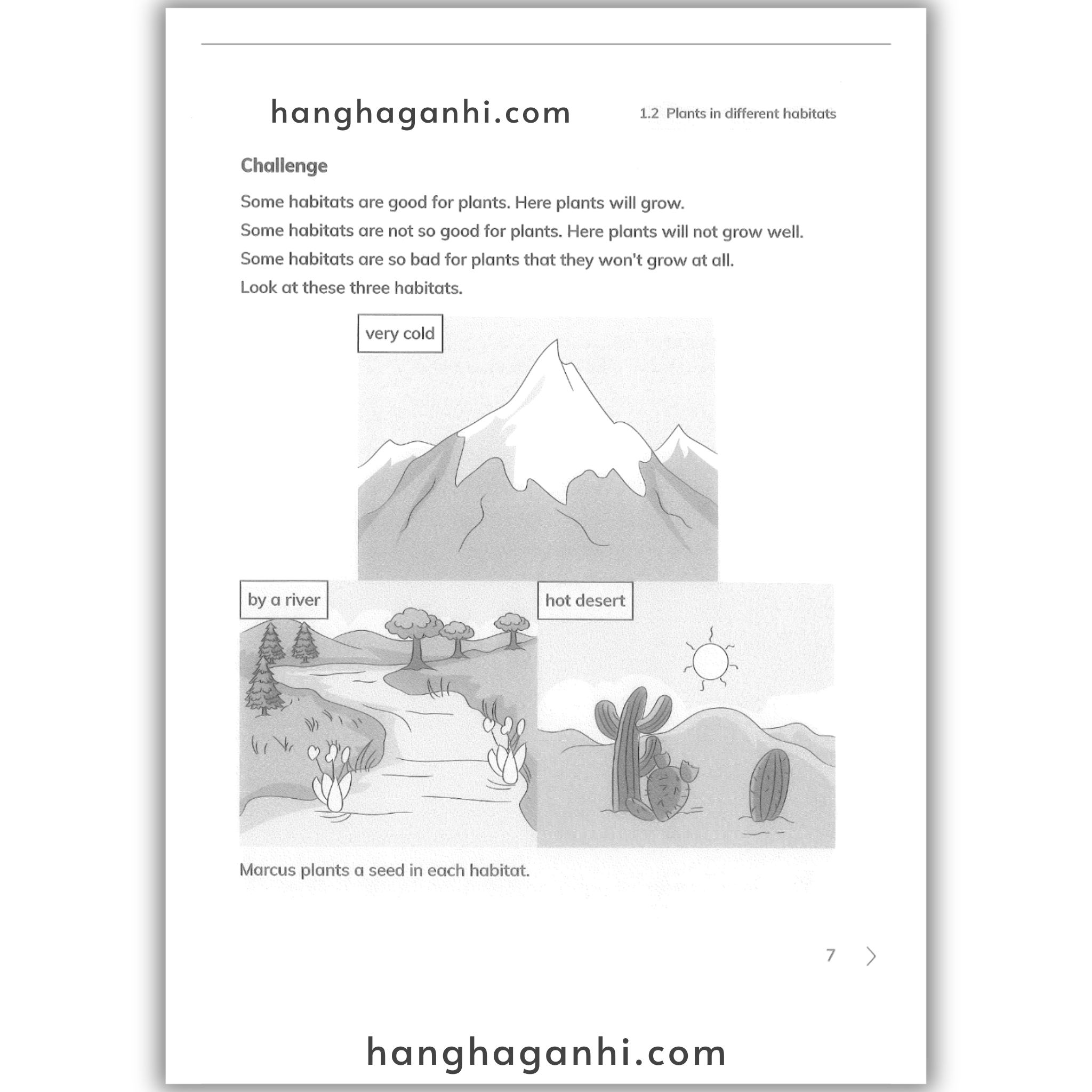 Cambridge Level 2 Primary Science Learner’s Book and Workbook 2nd edition 2021_thumbnail_11