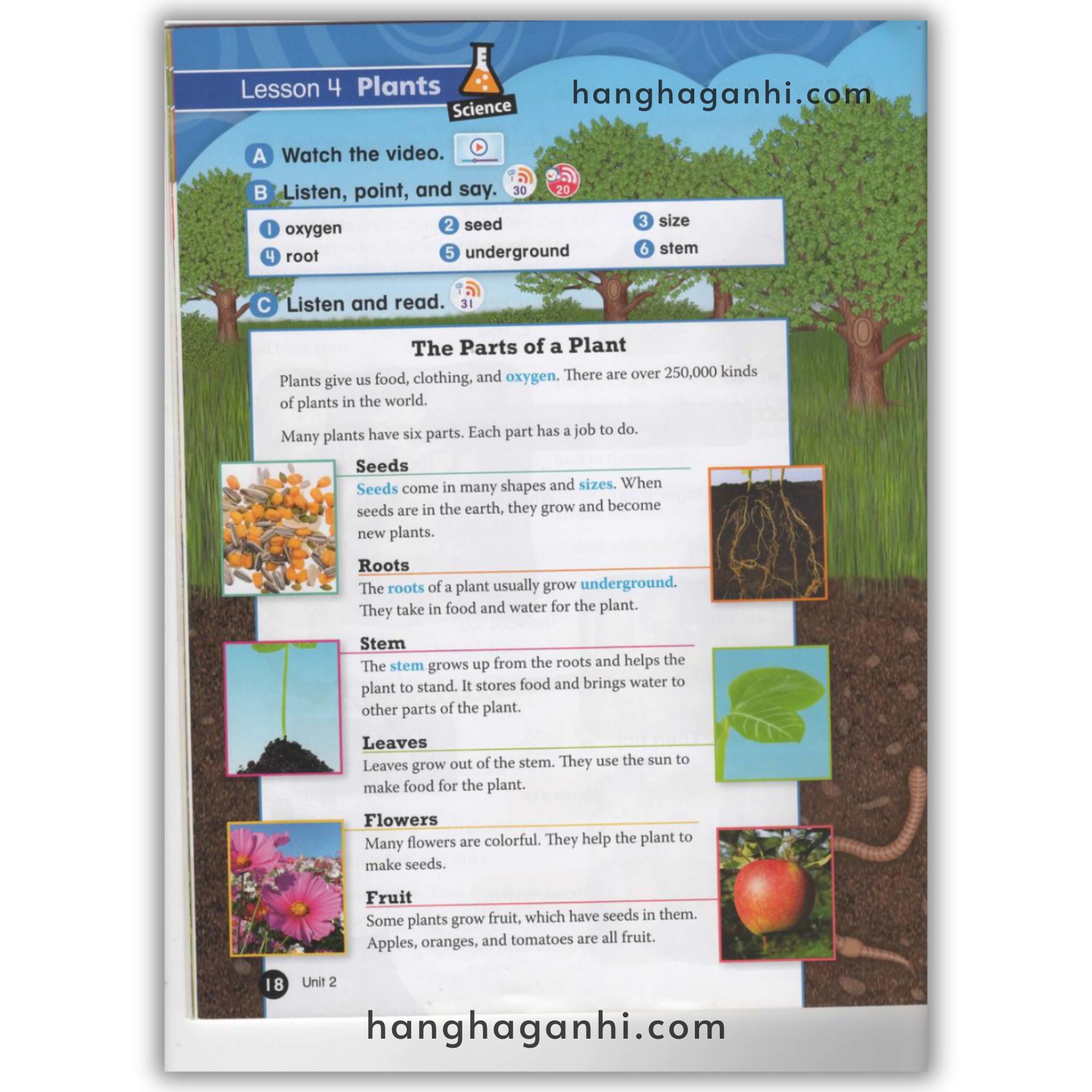 Everybody Up 5 Student book, 2nd Edition_thumbnail_10