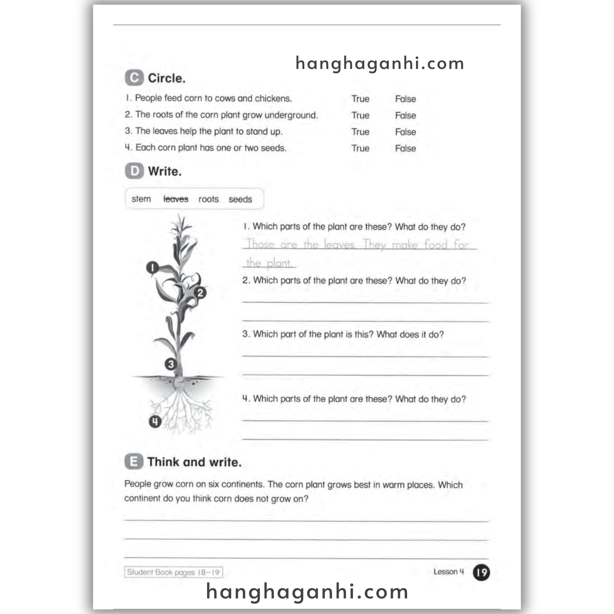 Everybody Up 5 Workbook, 2nd Edition_thumbnail_14