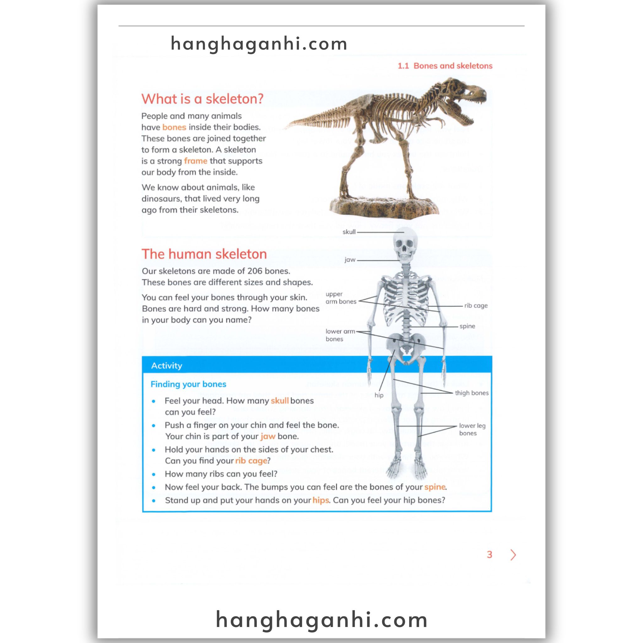 Cambridge Level 4 Primary Science Learner’s Book and Workbook 2nd edition 2021_thumbnail_2