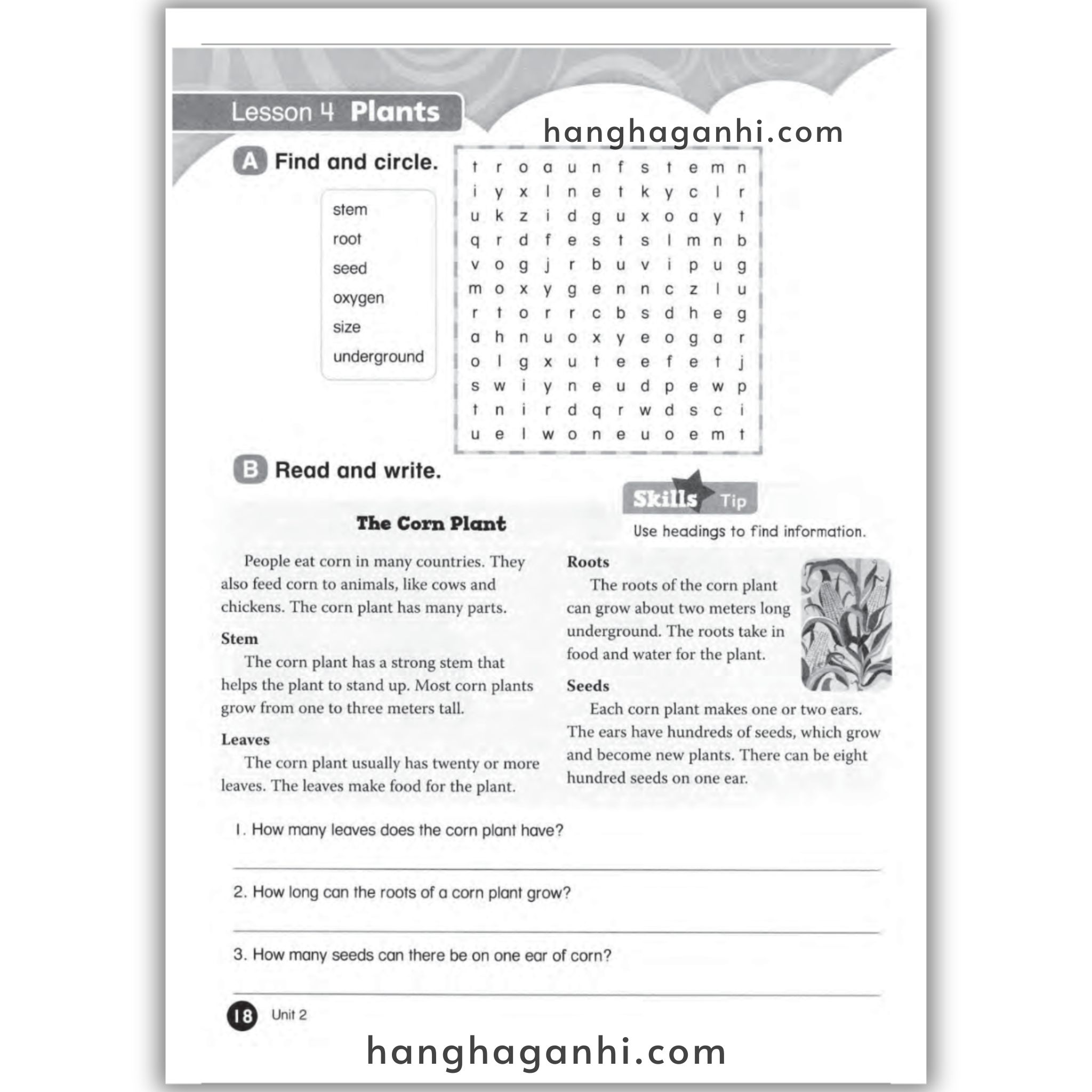 Everybody Up 5 Workbook, 2nd Edition_thumbnail_13