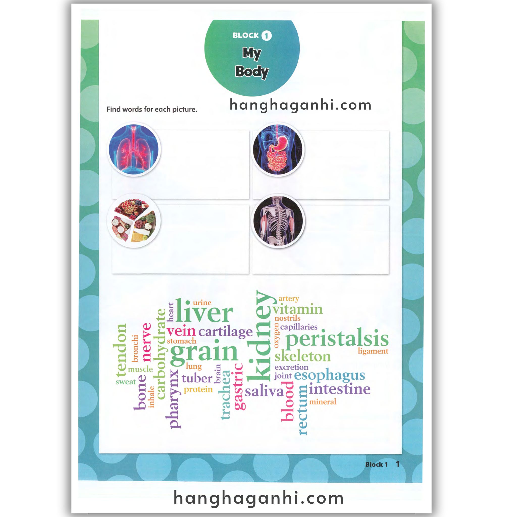 Oxford Discover Level 3 Science Student Book 2Nd Edition_thumbnail_8