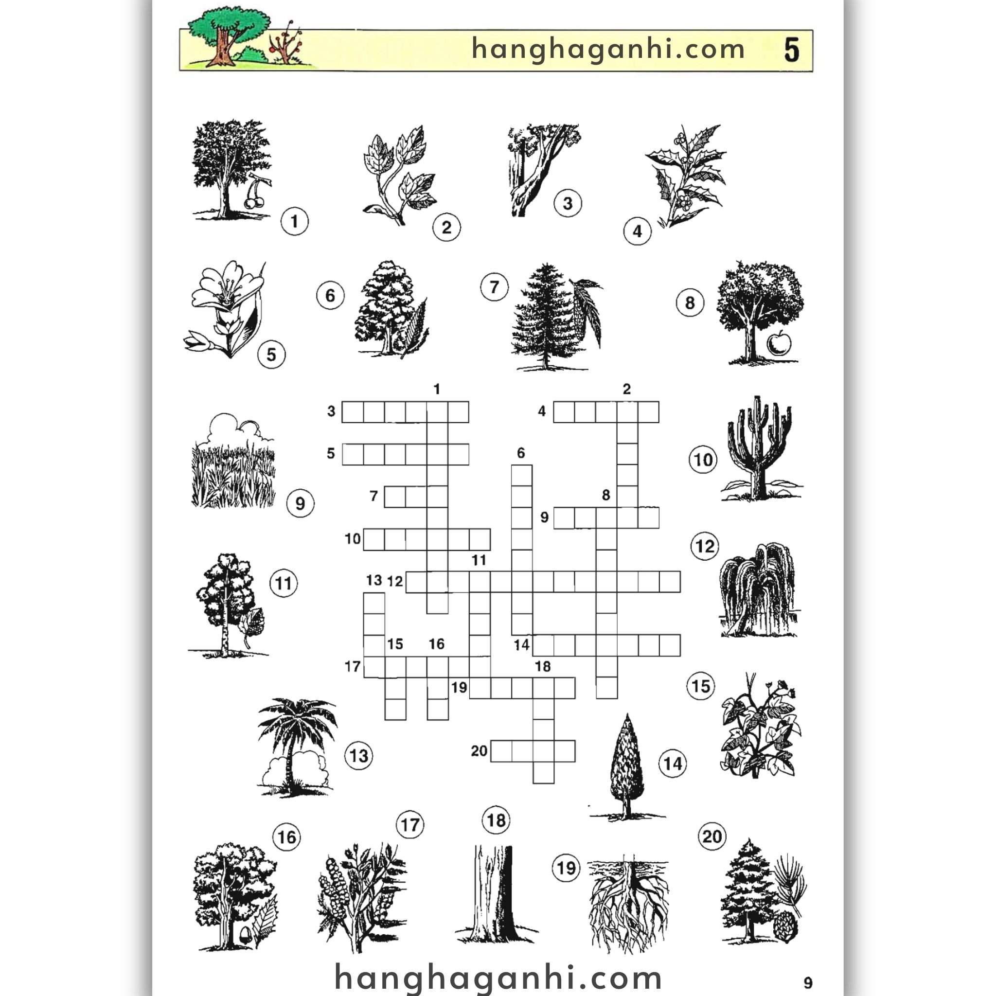 English With Crosswords (Crossword Puzzle Book 3) – Advanced, Sách học từ vựng_thumbnail_5