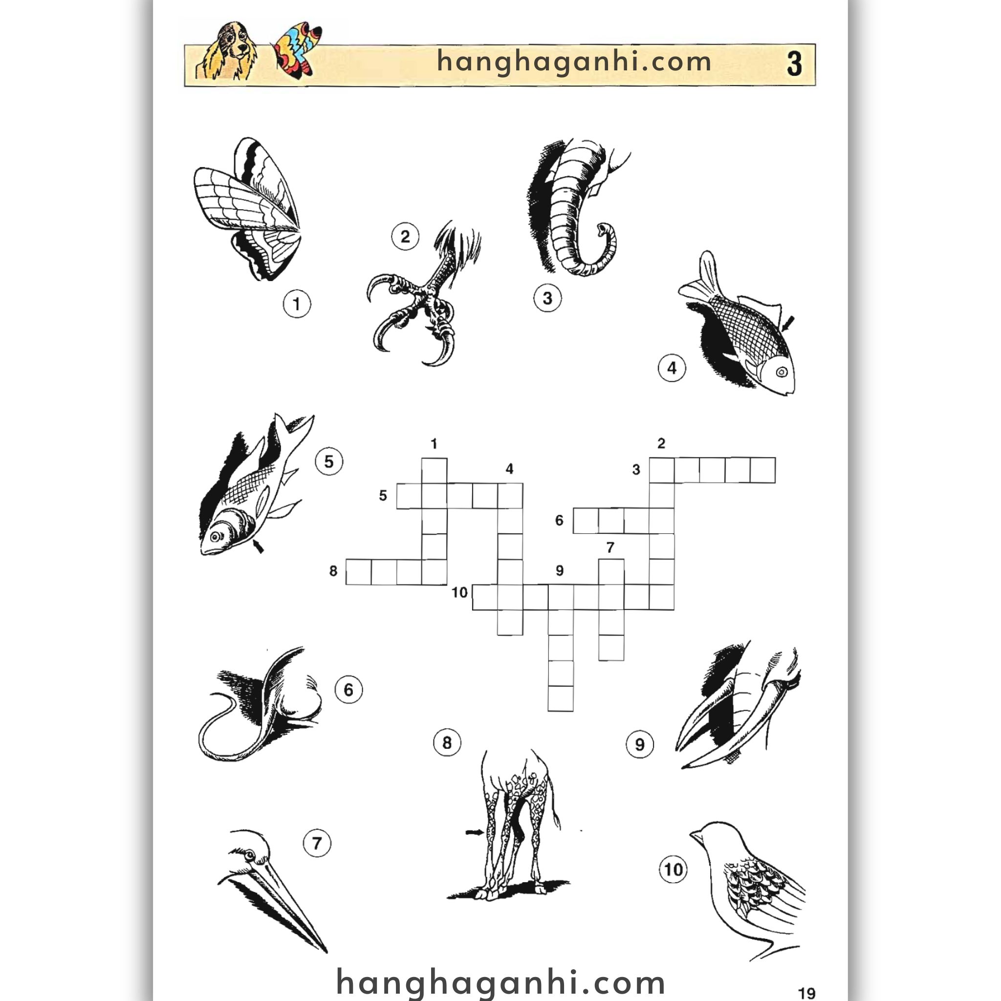 English With Crosswords (Crossword Puzzle Book 3) – Advanced, Sách học từ vựng_thumbnail_10
