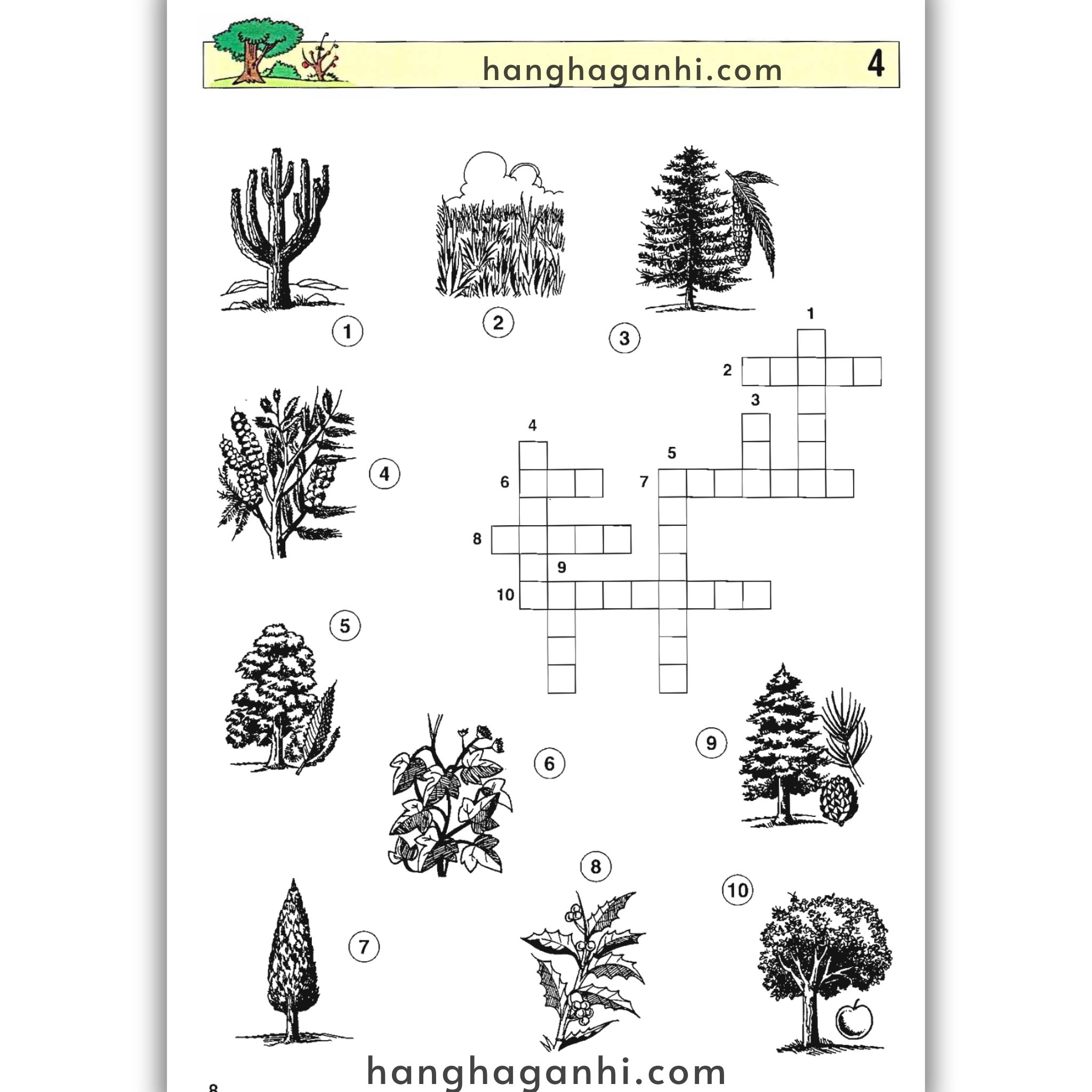 English With Crosswords (Crossword Puzzle Book 3) – Advanced, Sách học từ vựng_thumbnail_3