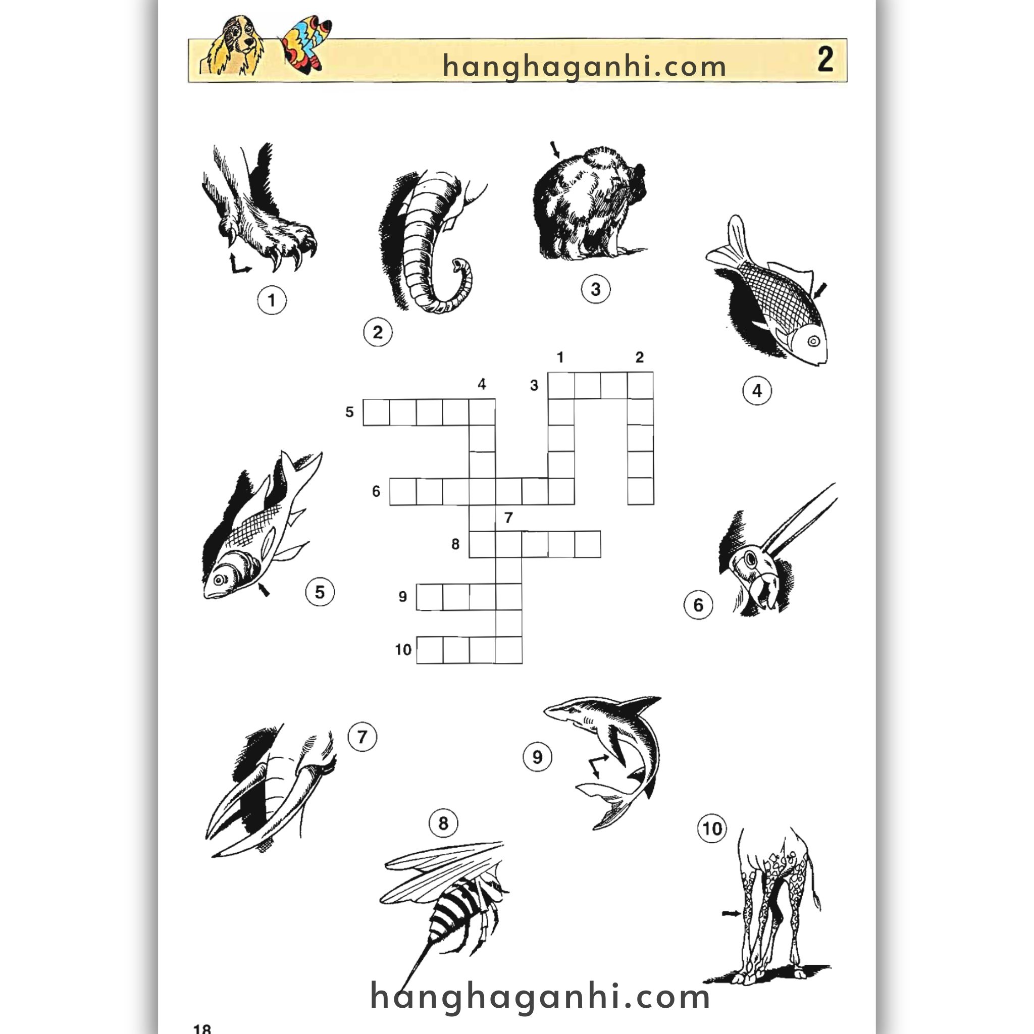 English With Crosswords (Crossword Puzzle Book 3) – Advanced, Sách học từ vựng_thumbnail_9